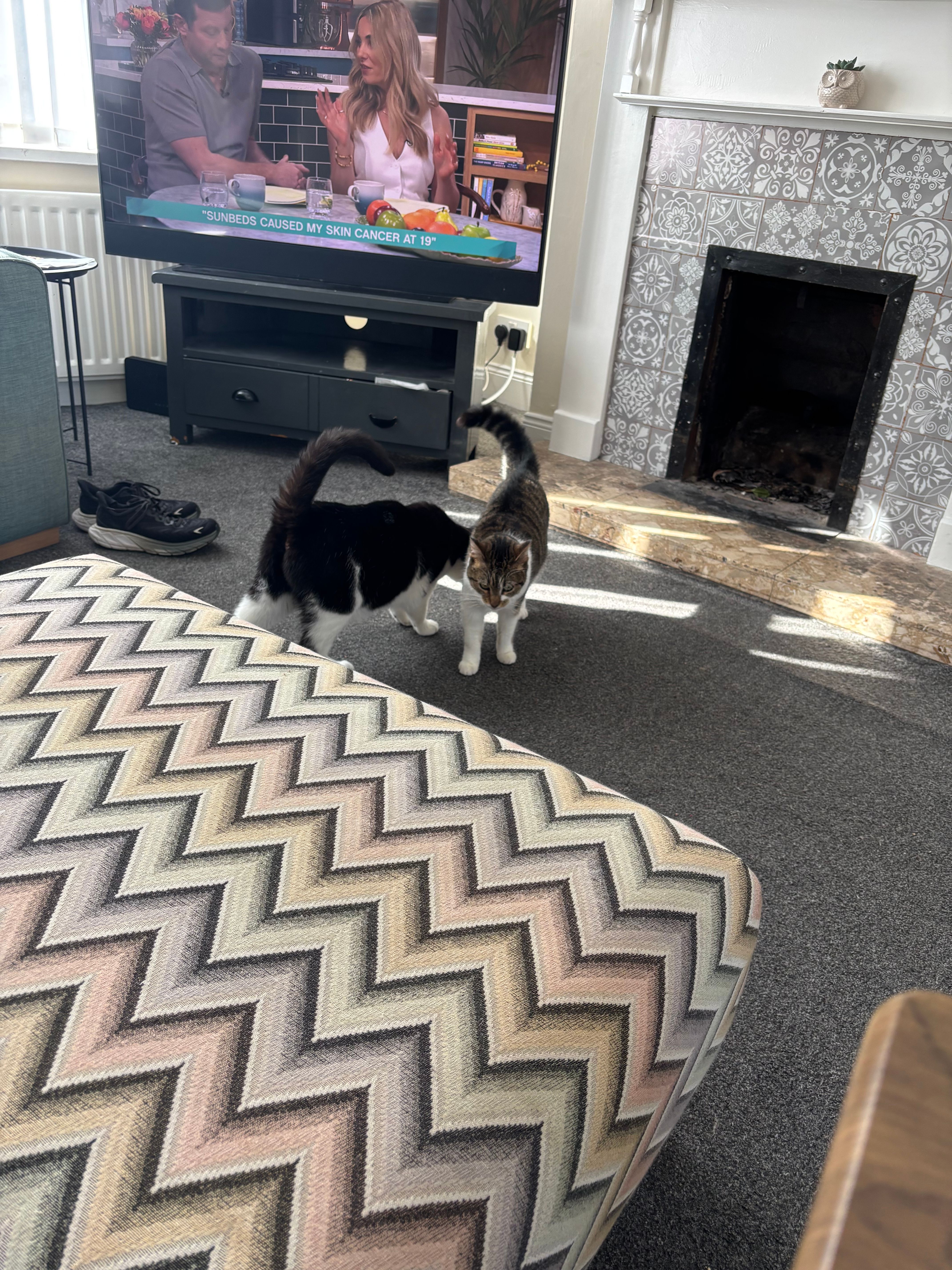 image-15