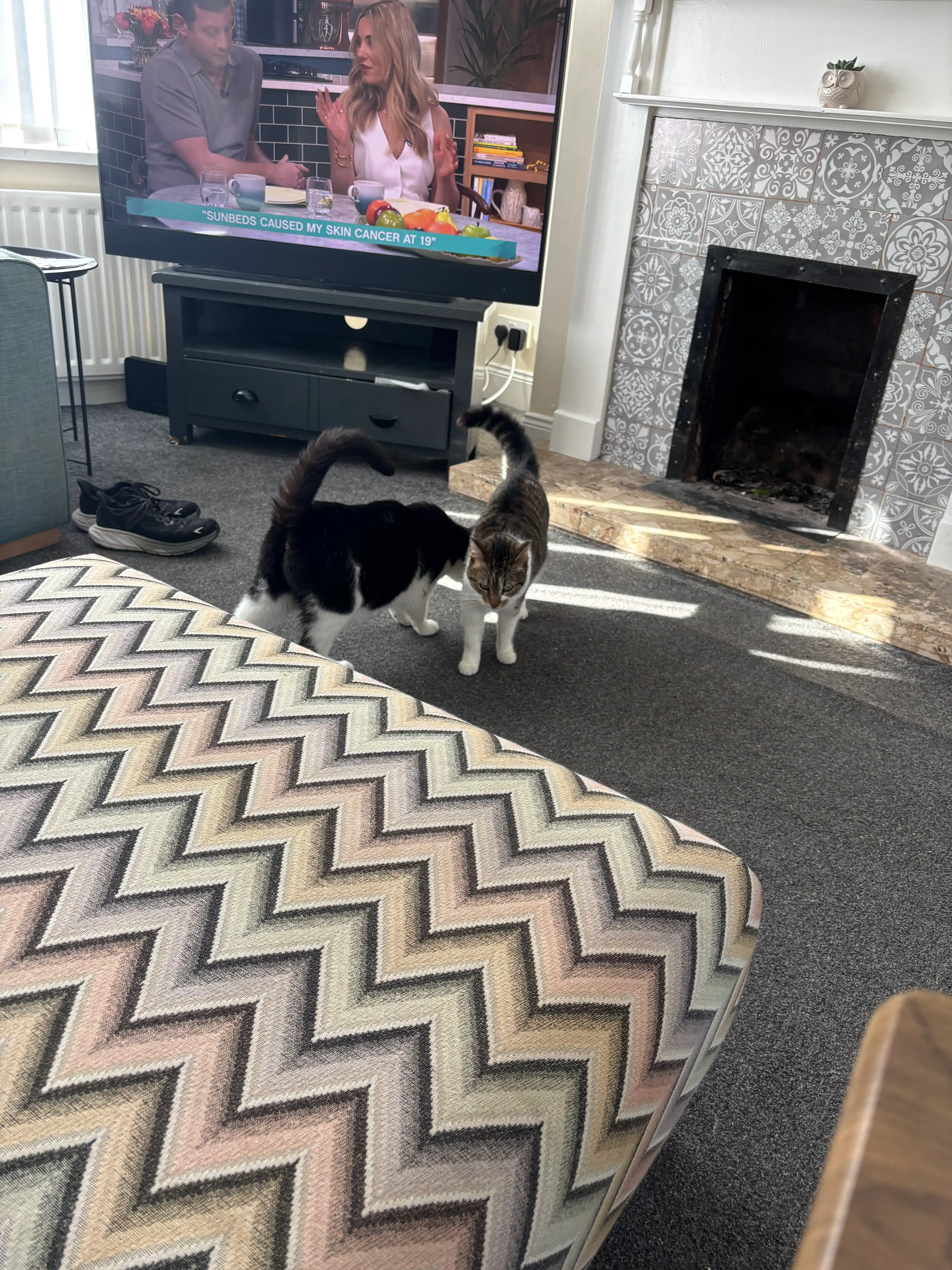 image-15