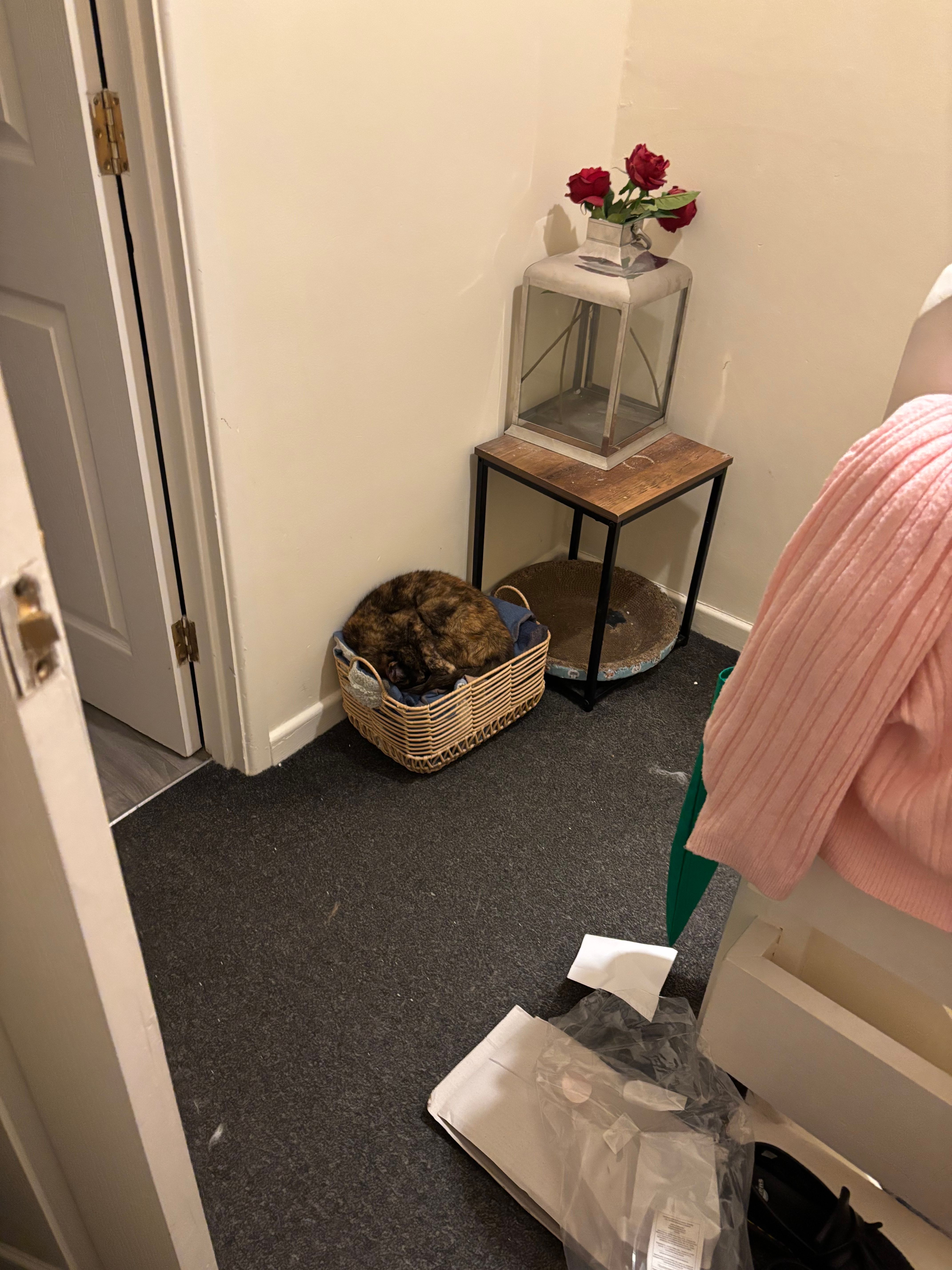 image-16