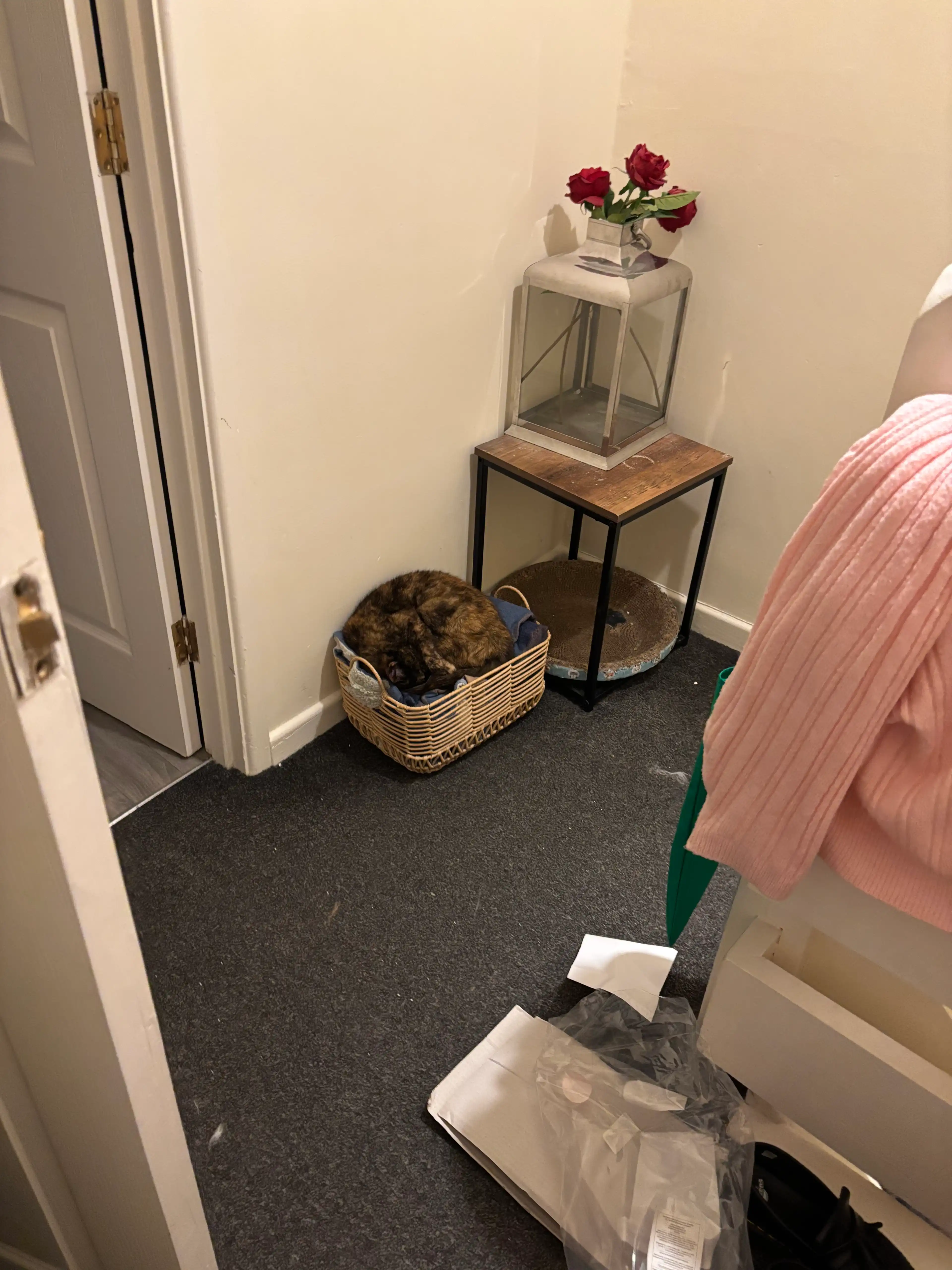 image-16