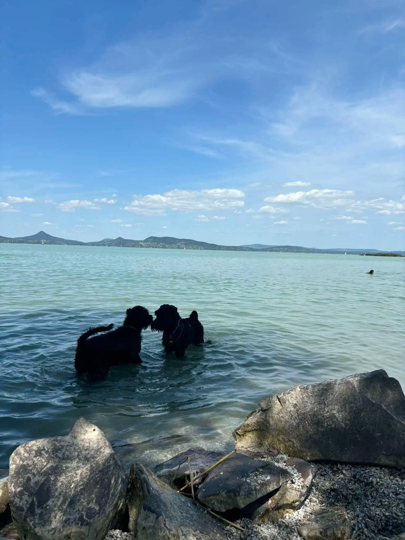image-6