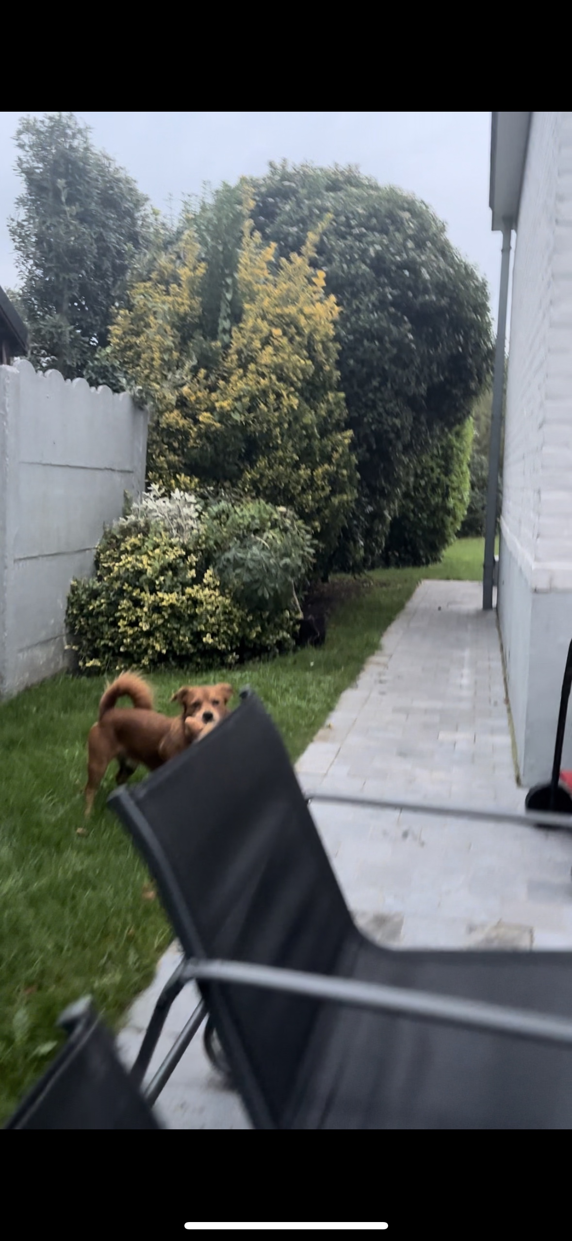 image-17
