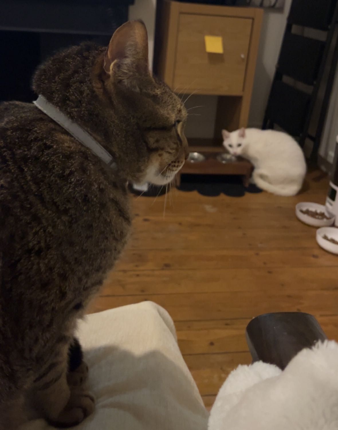 image-8