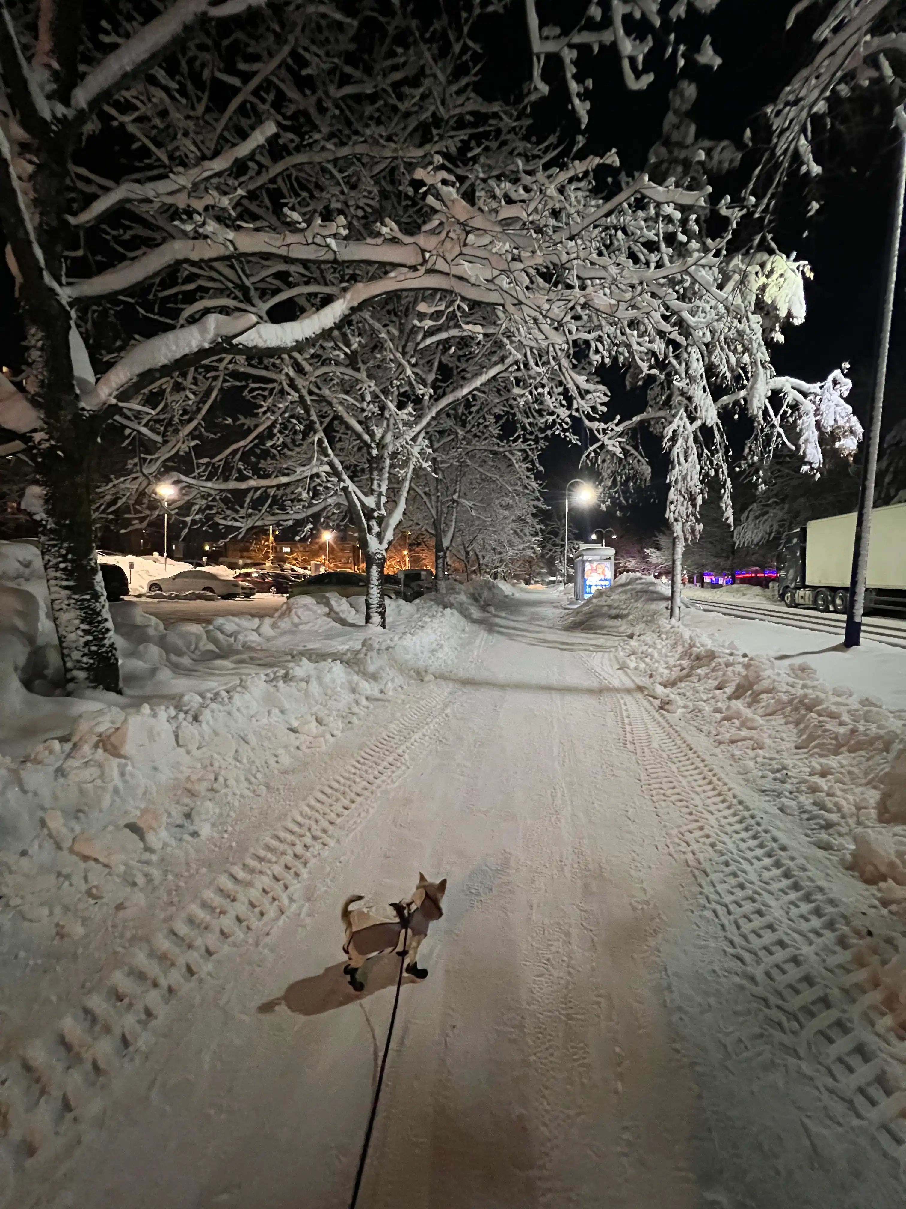 image-7