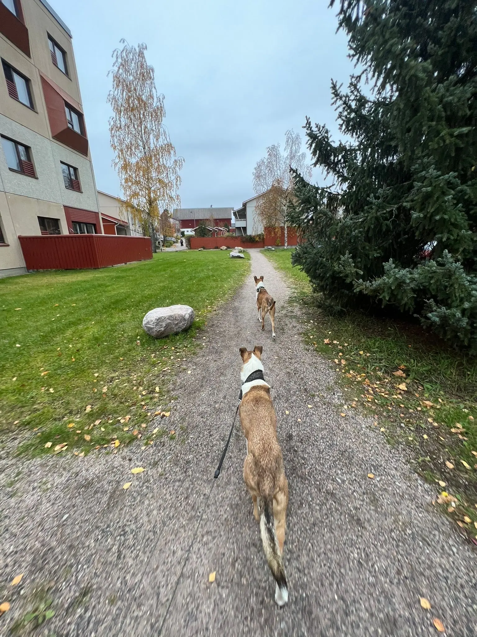 image-3