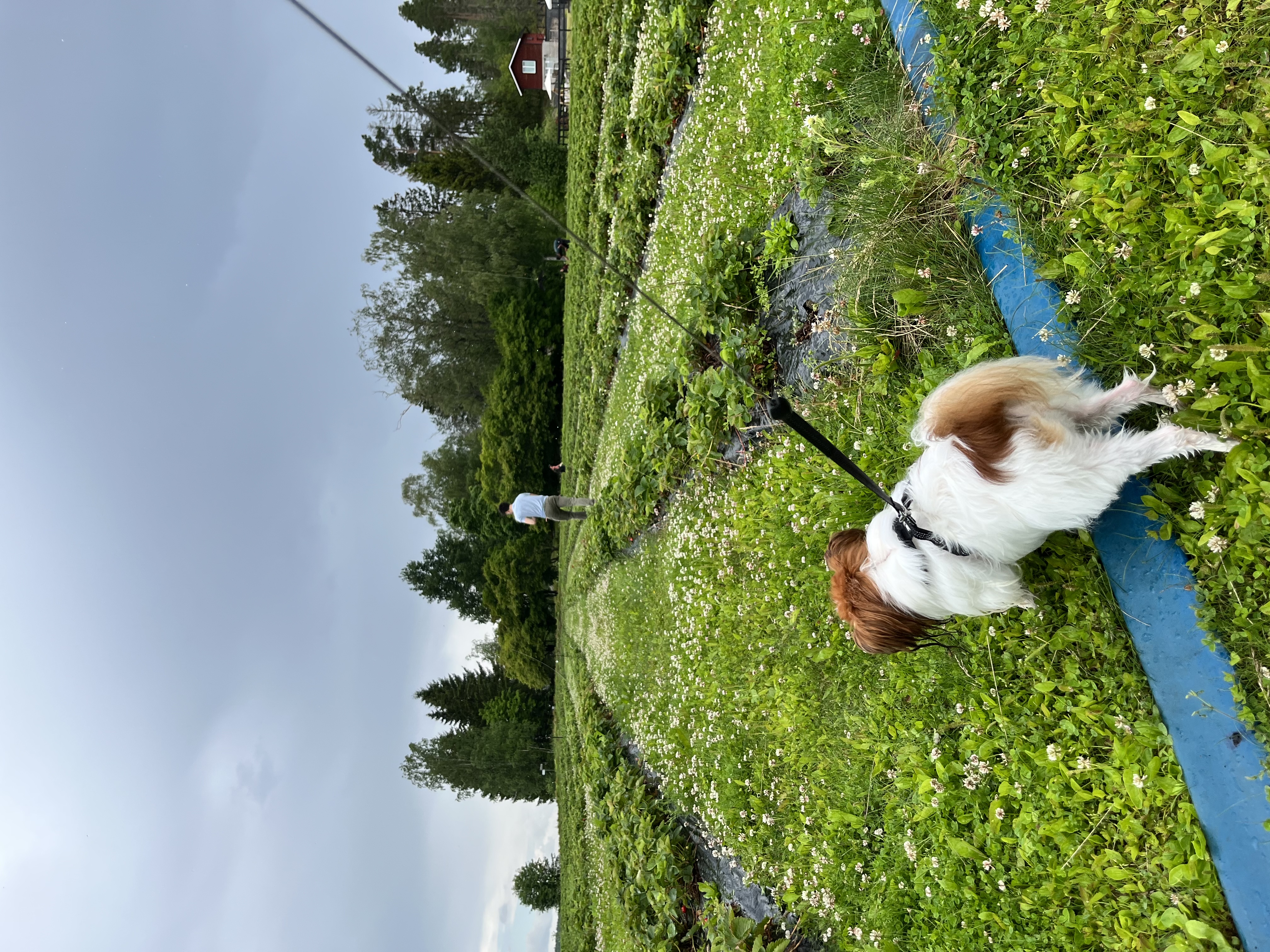 image-3