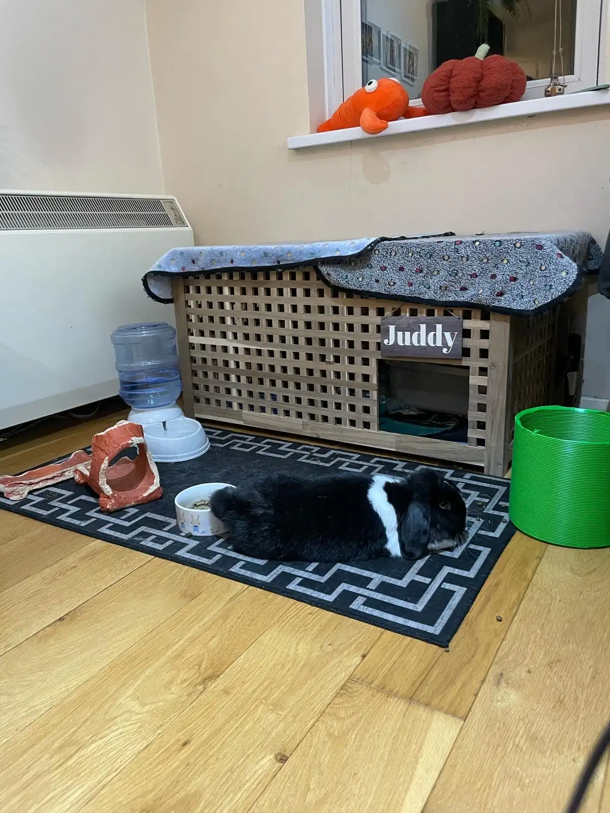 image-18