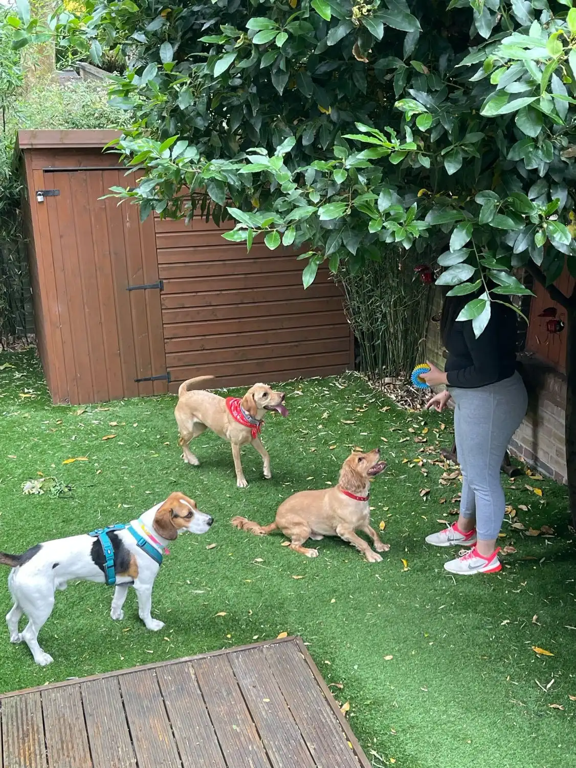 image-12