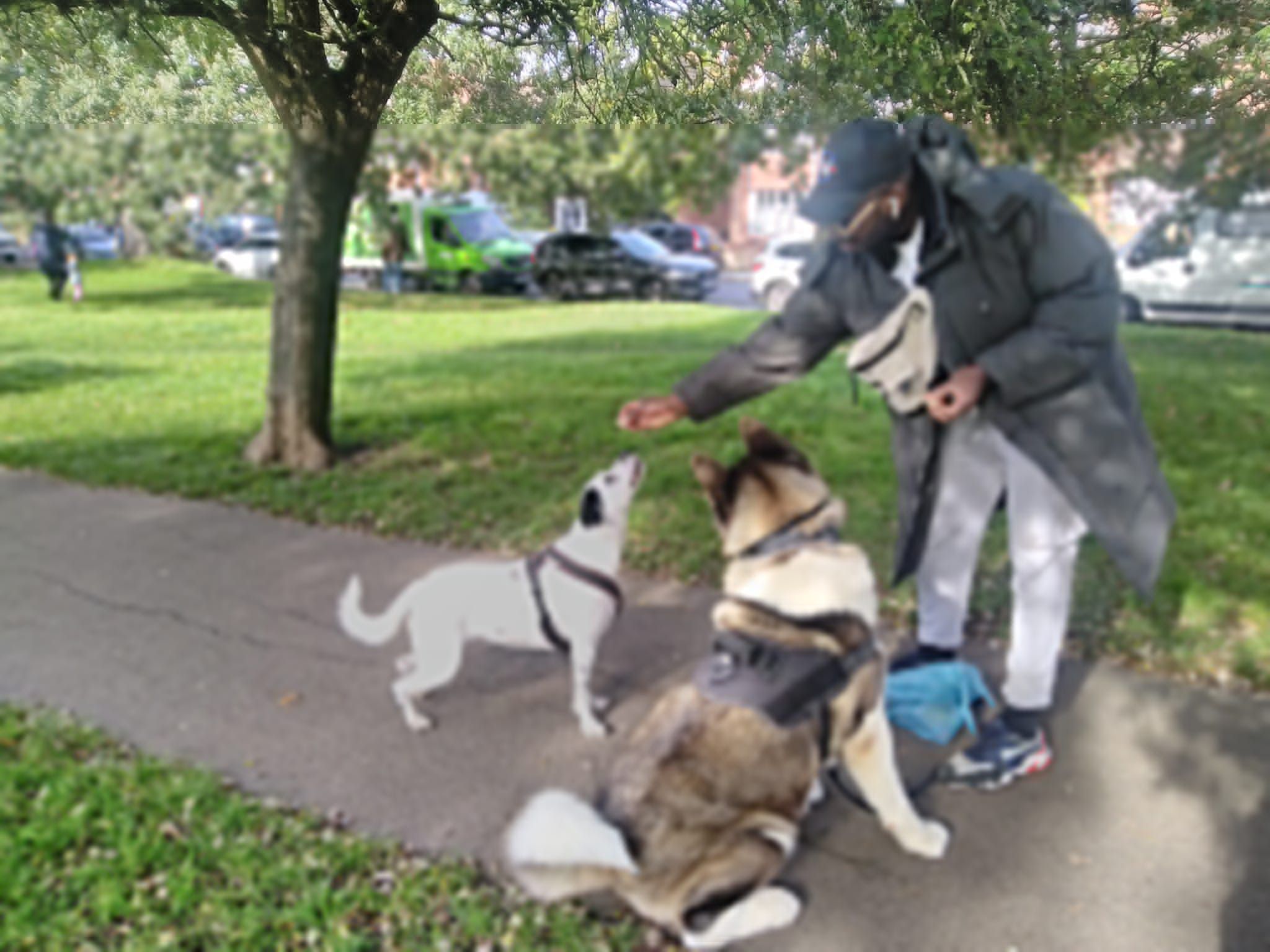 image-39