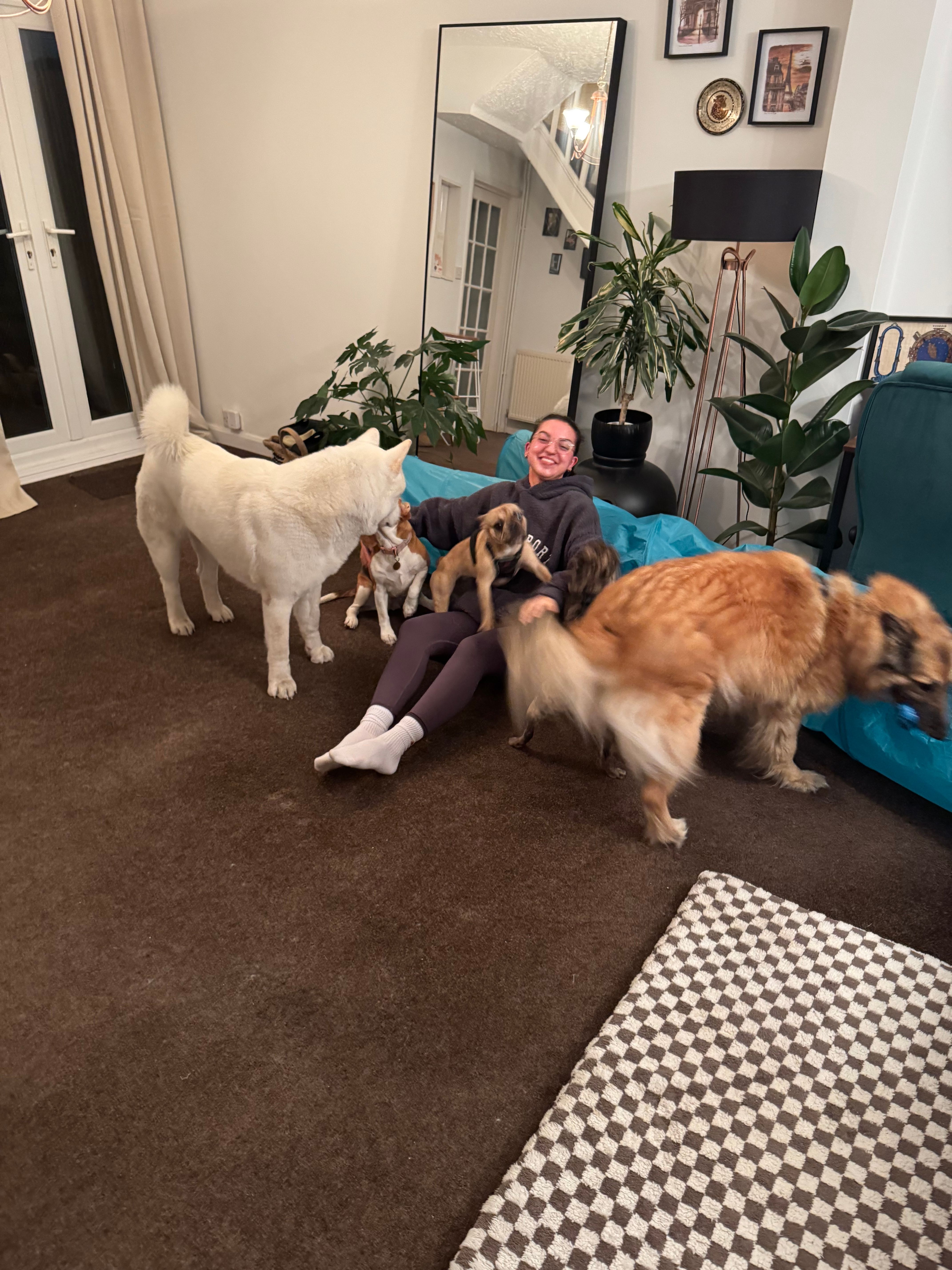 image-26
