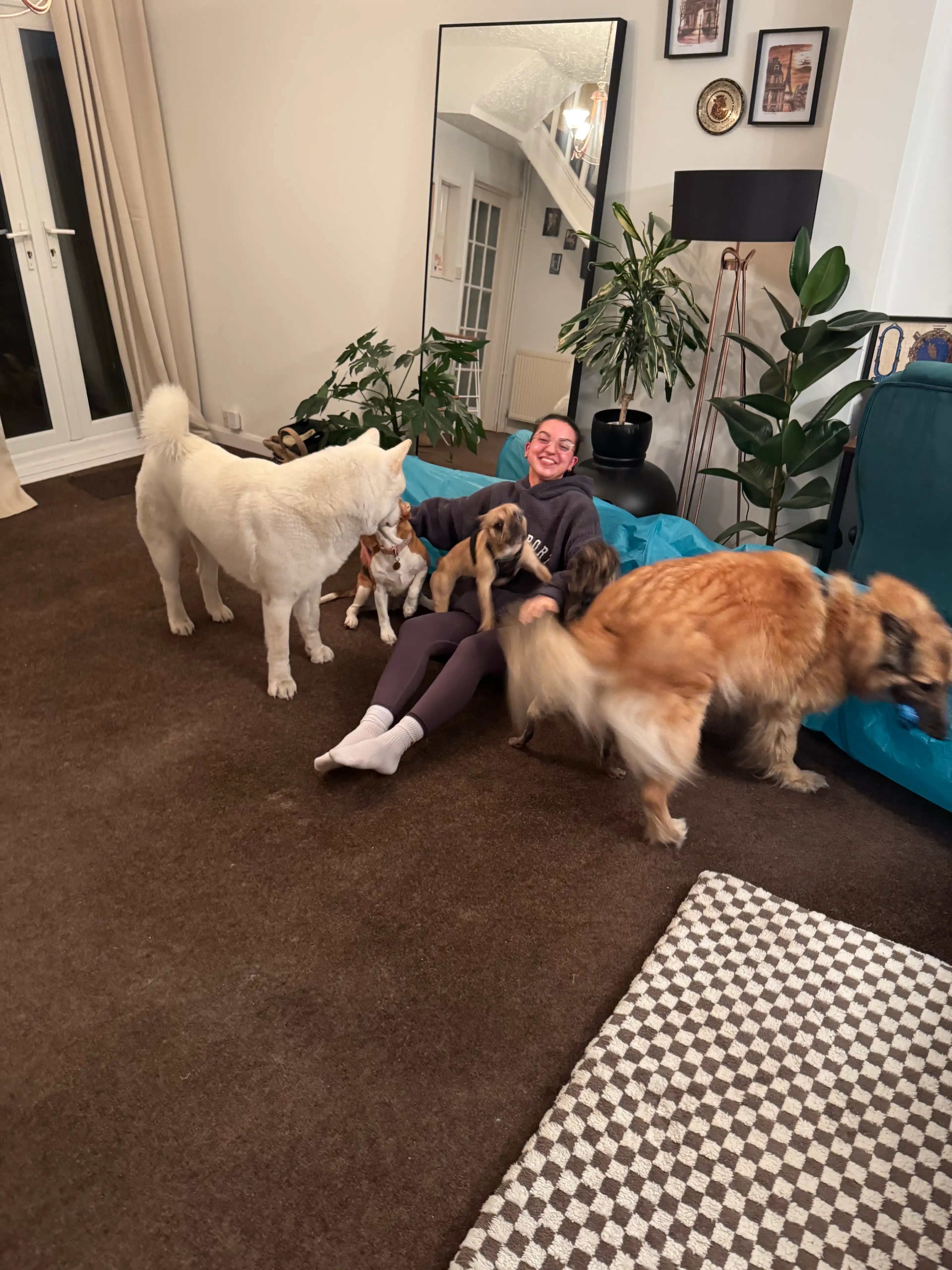 image-26