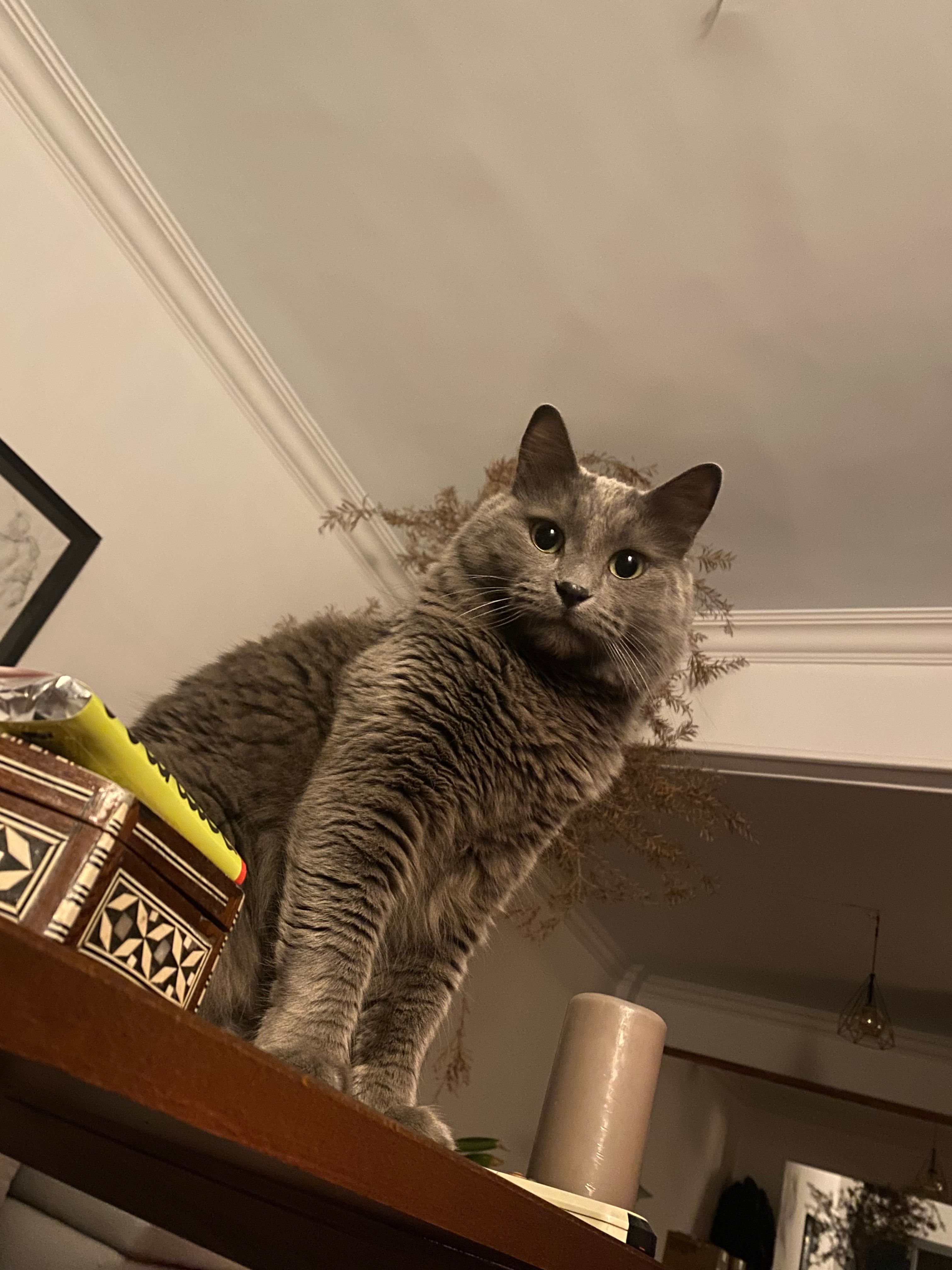 image-10