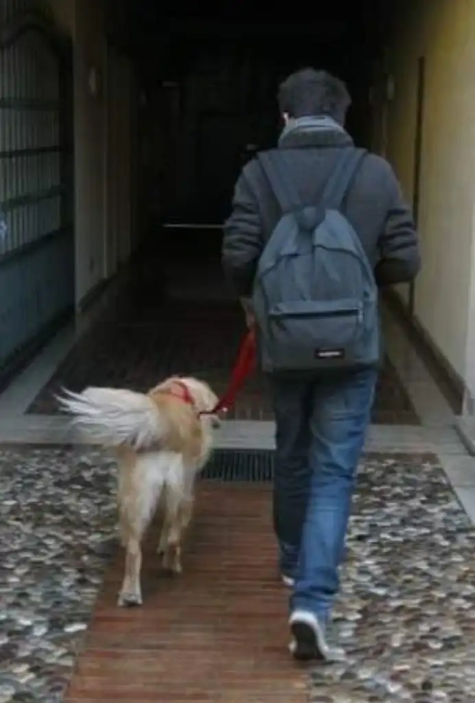 image-7
