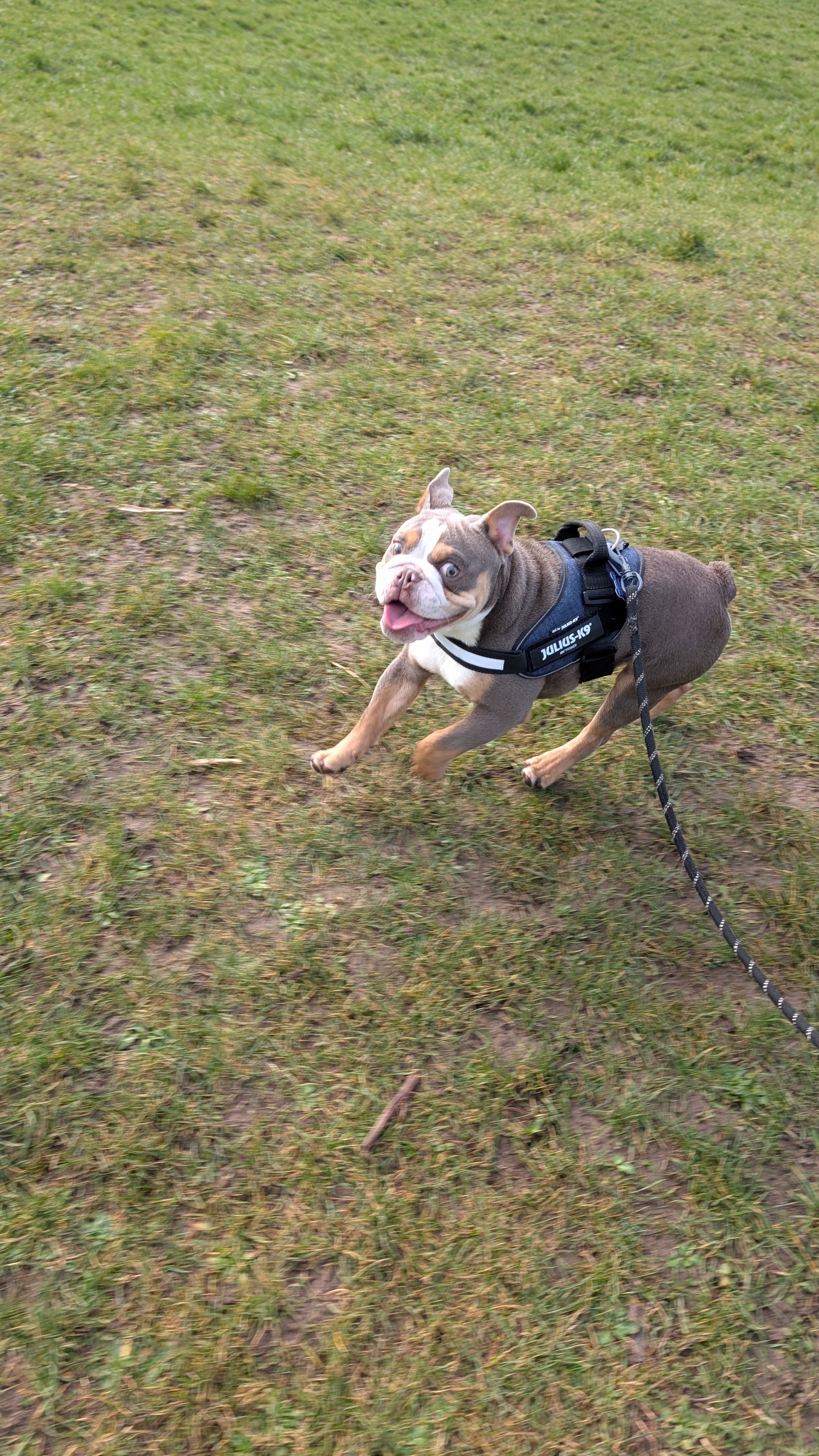 image-7