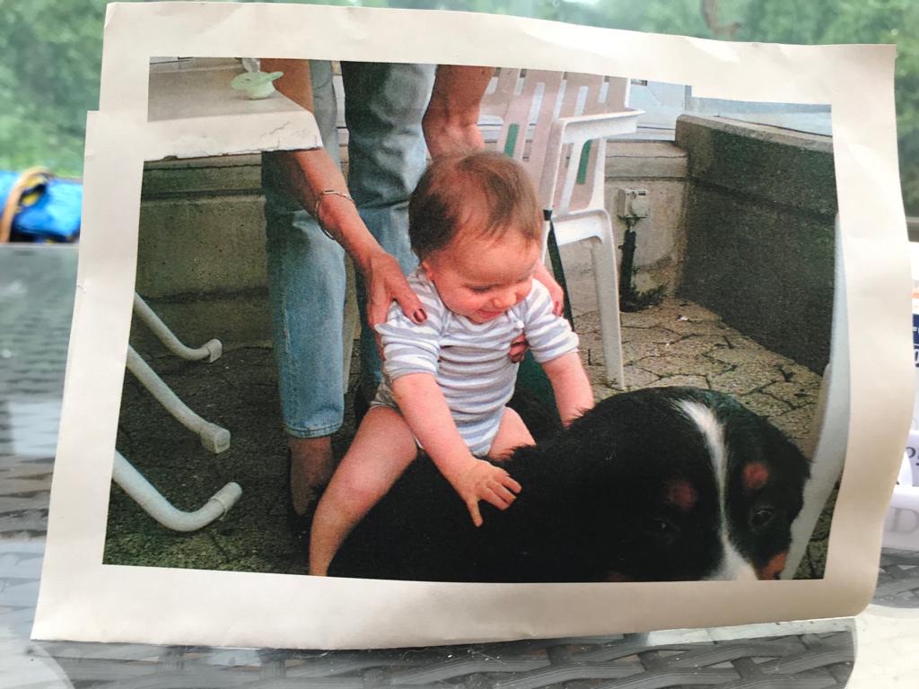 image-6