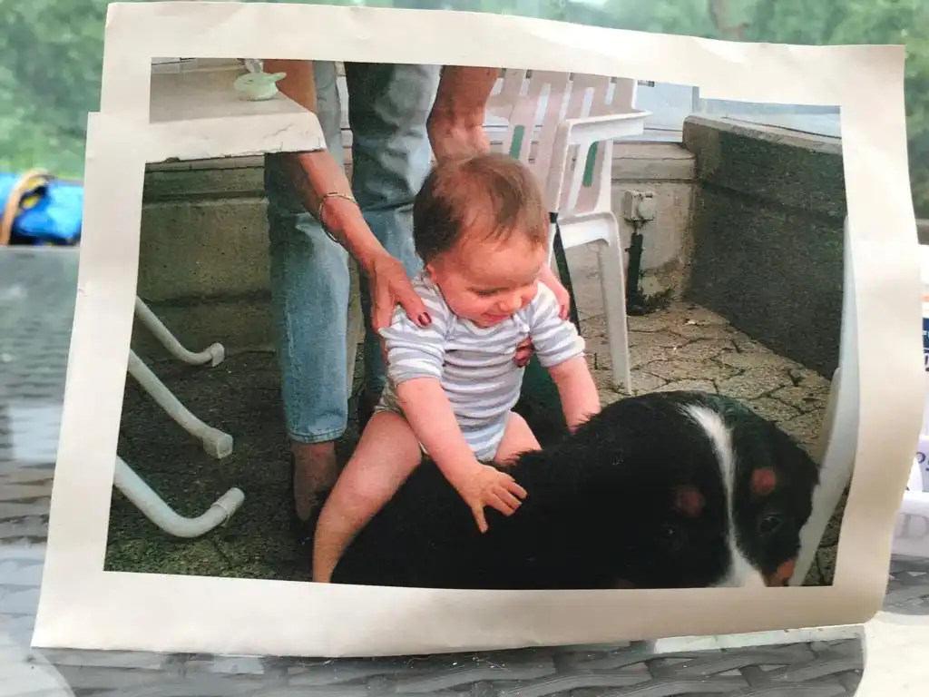 image-6