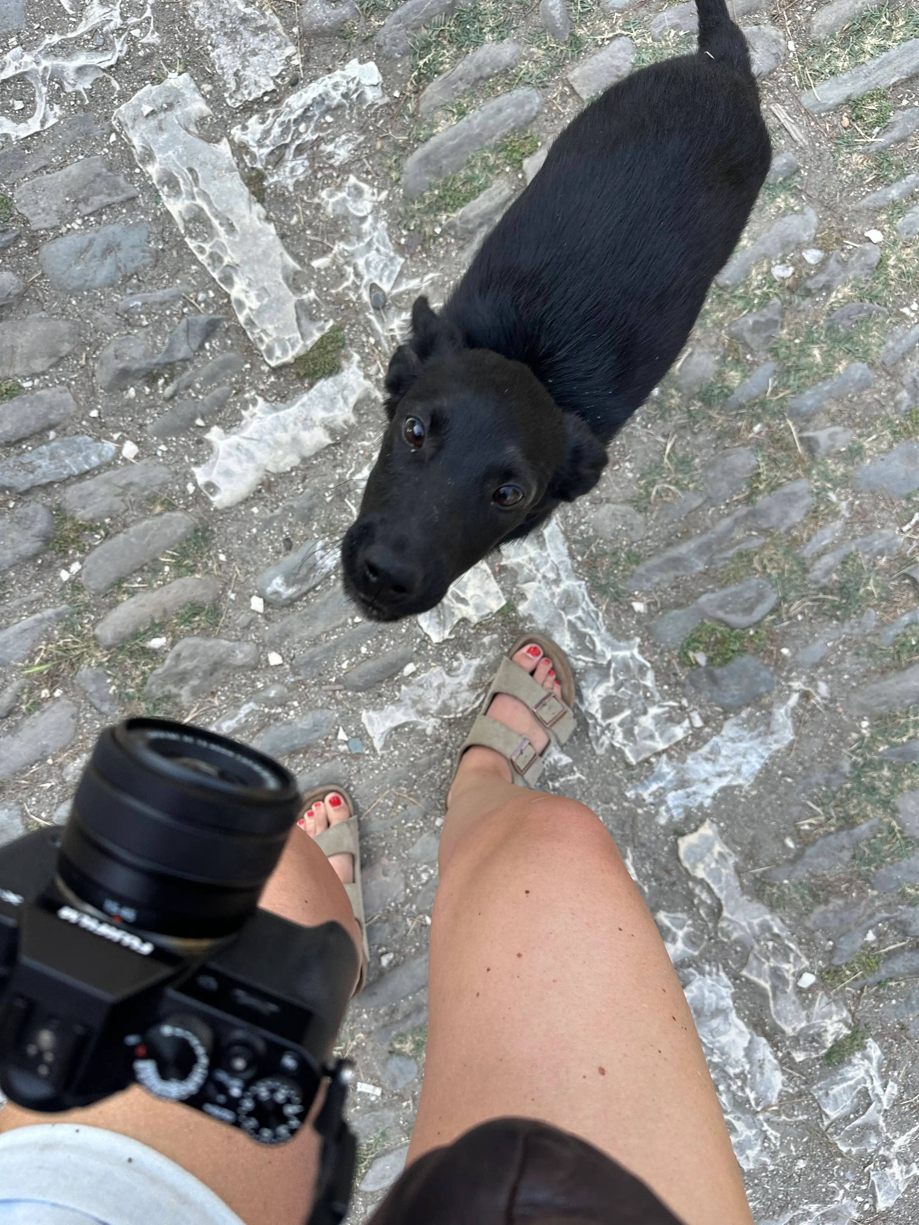 image-7