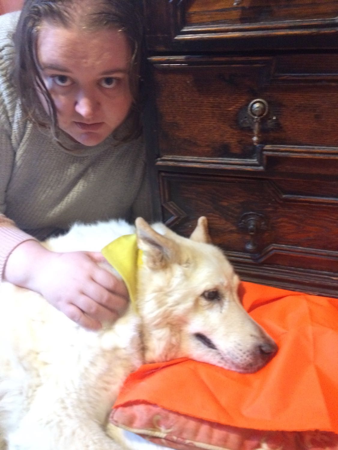image-7