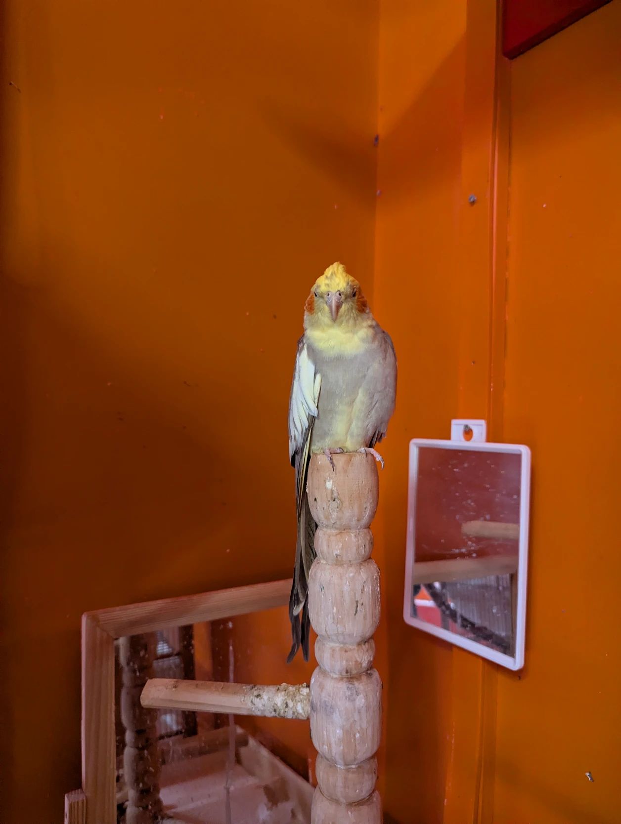 image-11