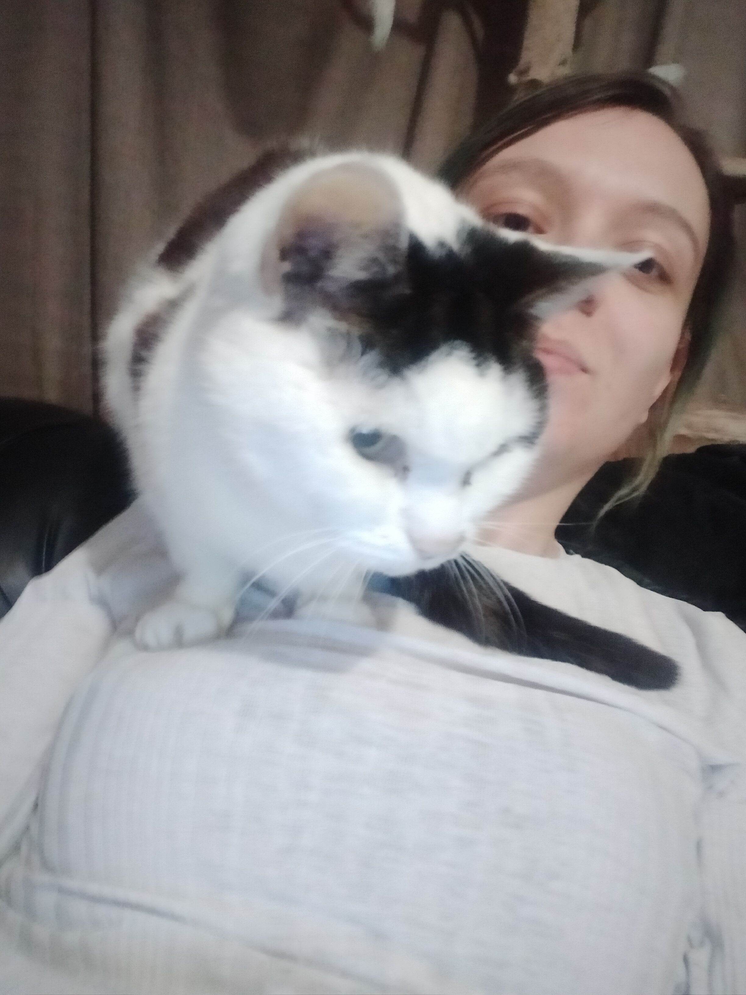 image-7