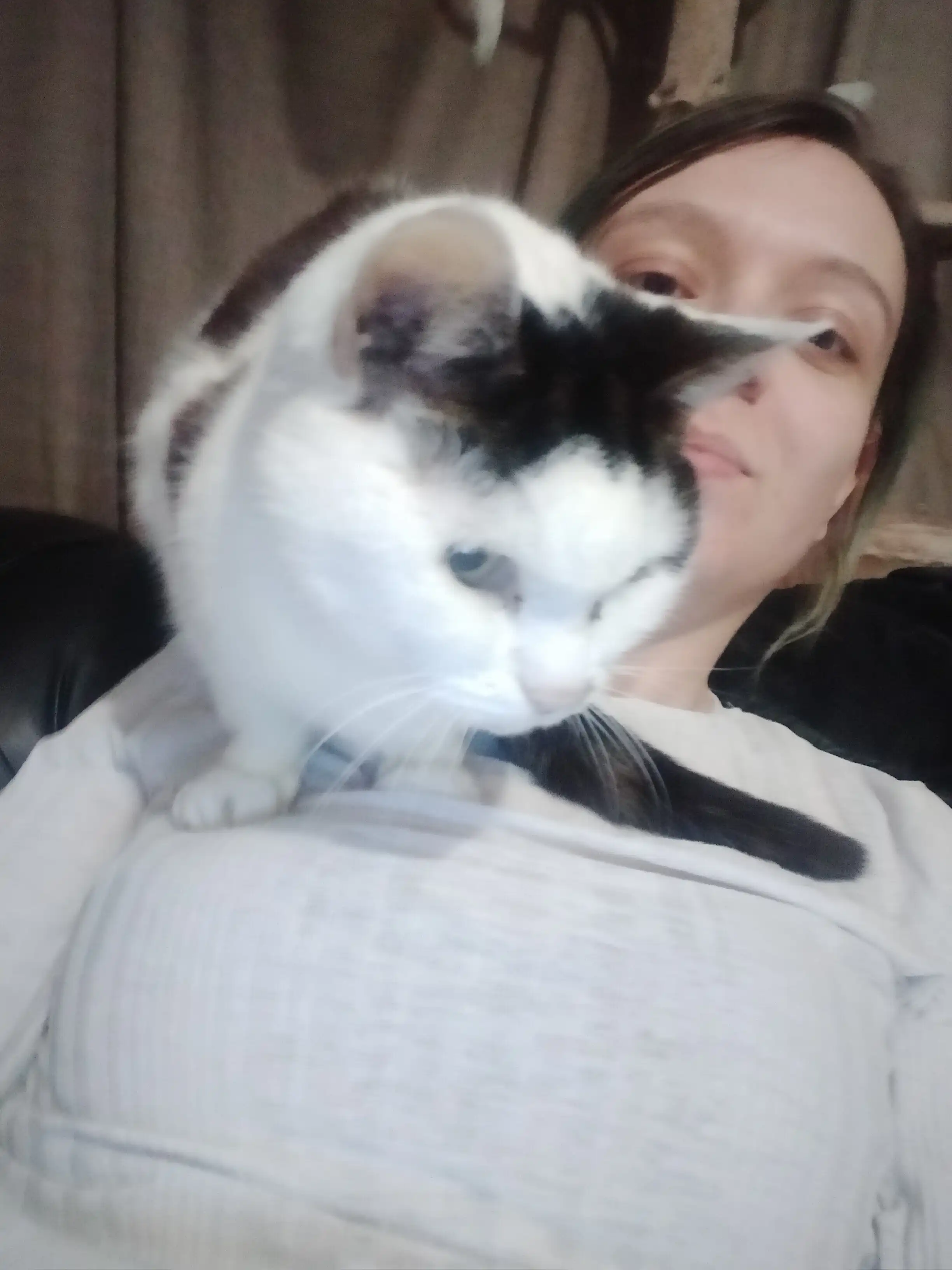 image-7