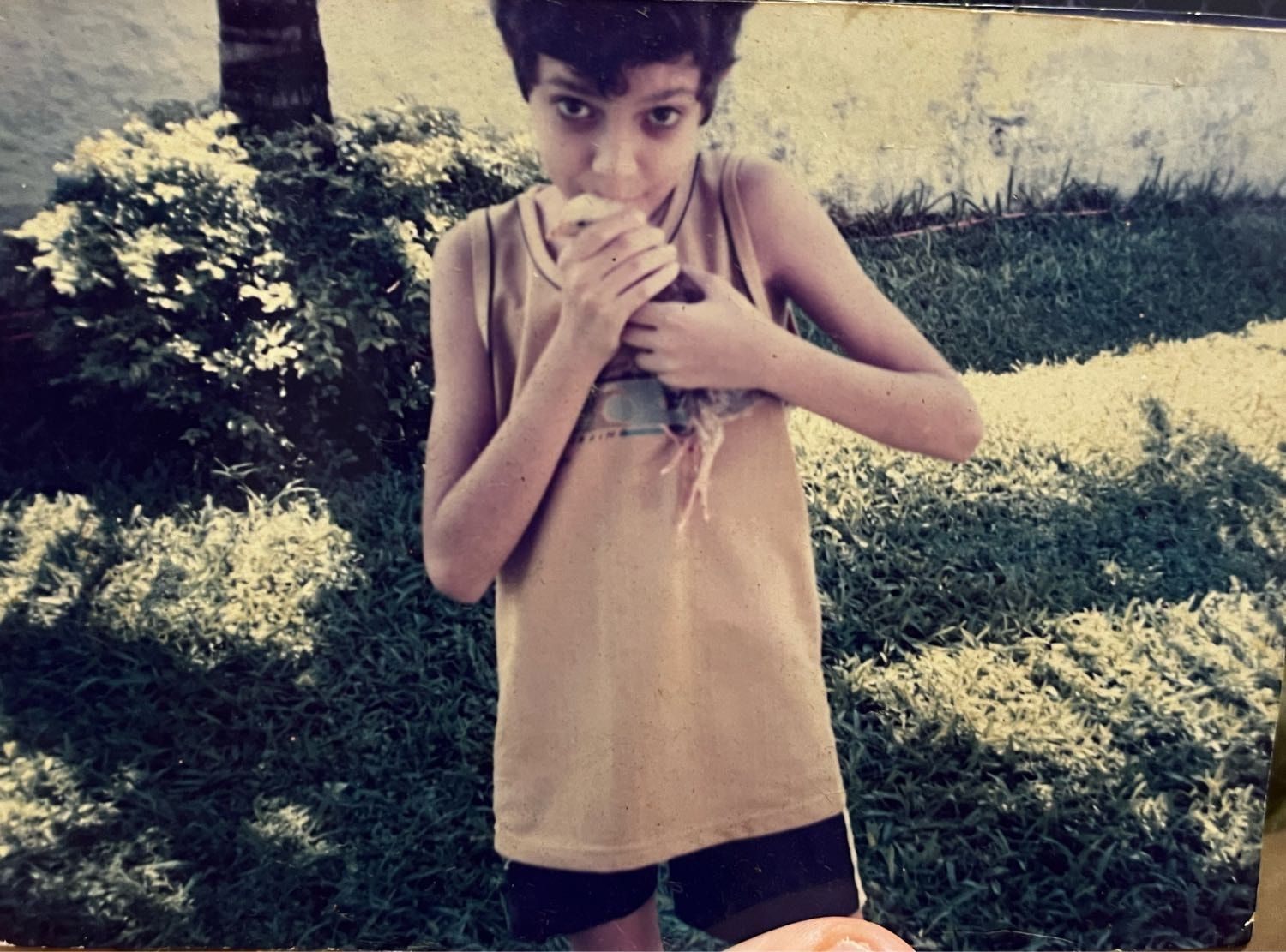image-6