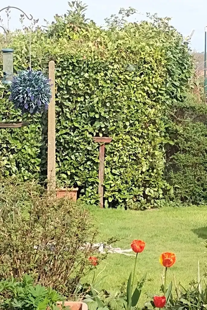 image-6