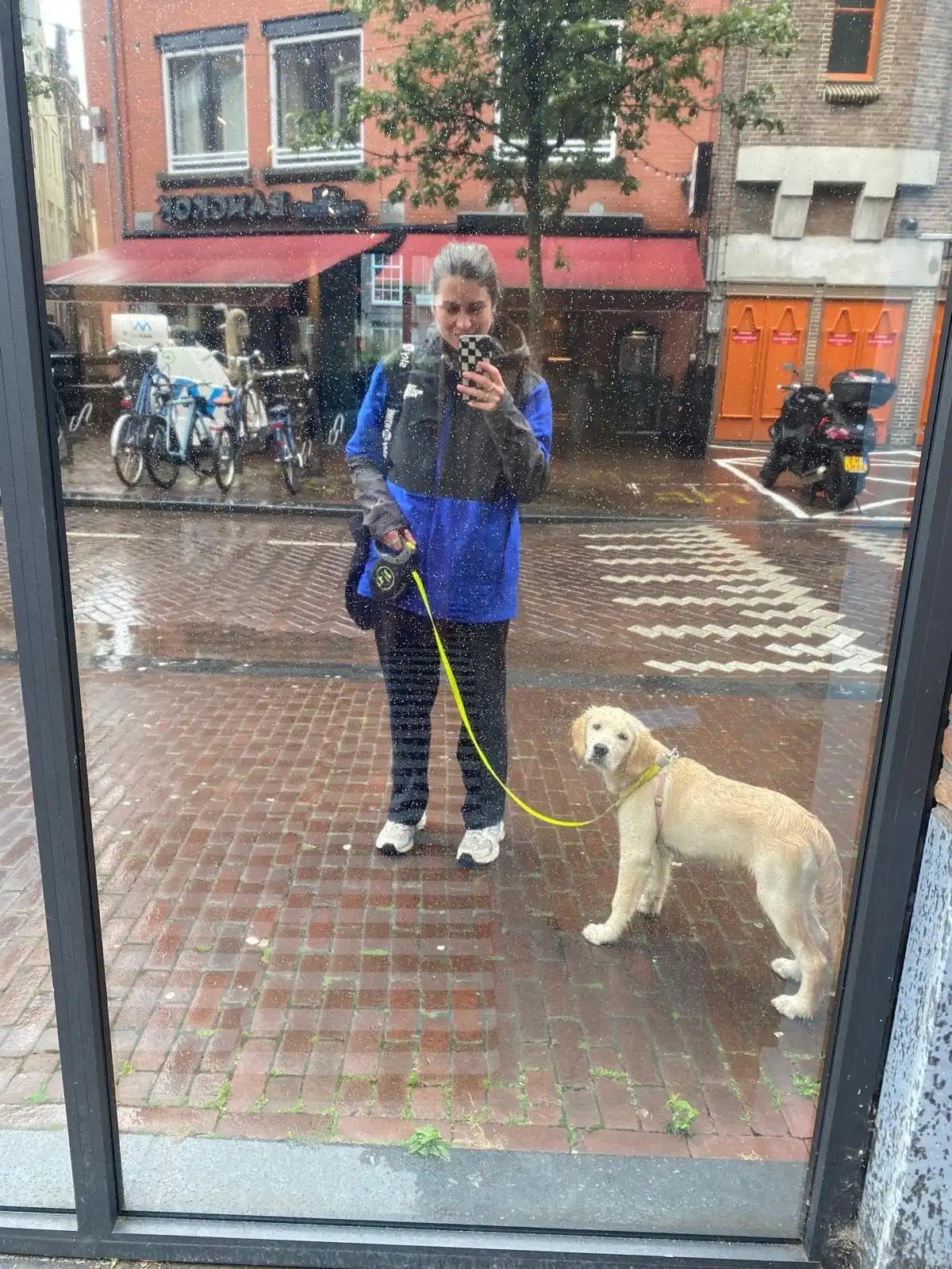 image-7