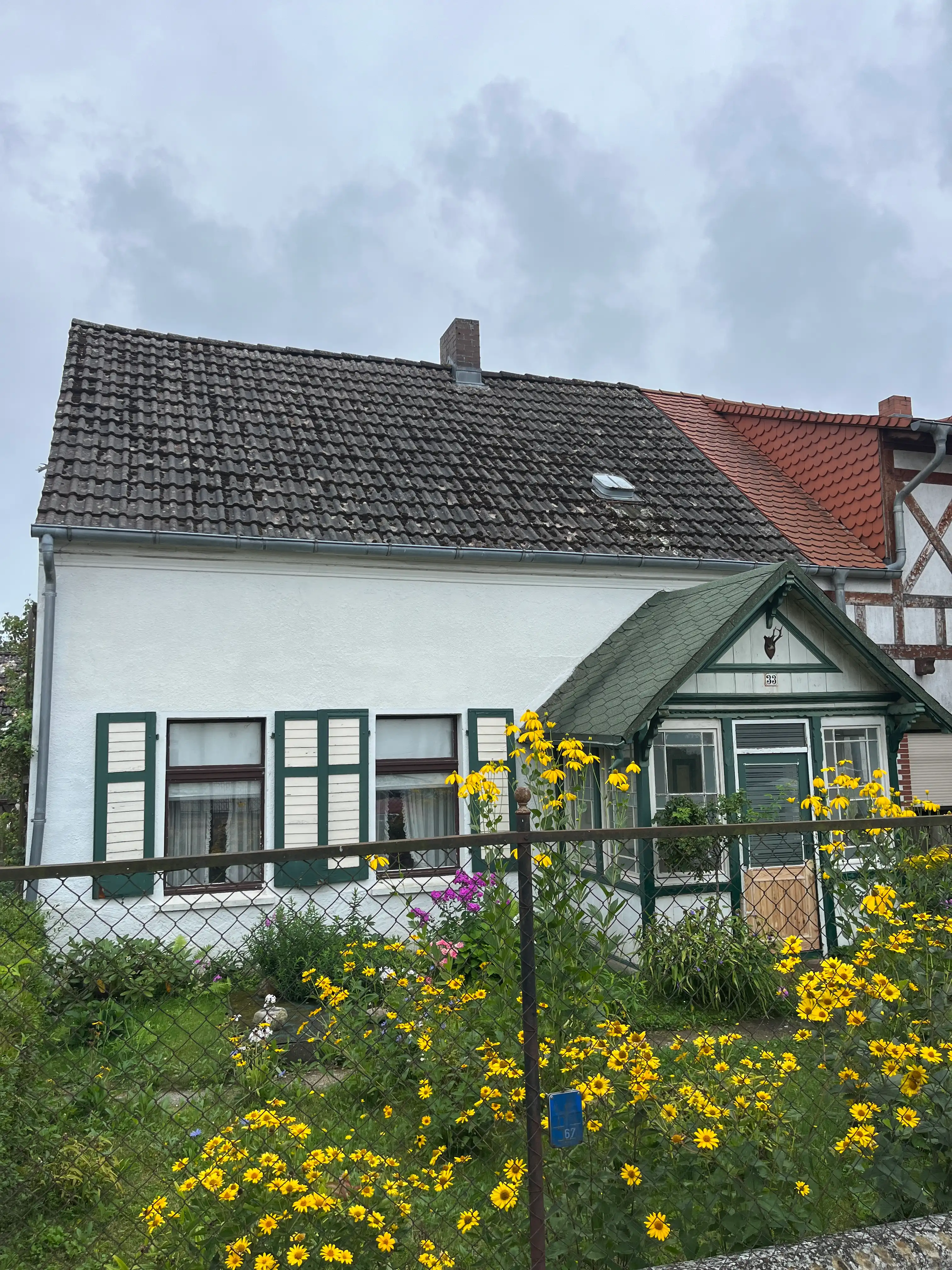 image-14