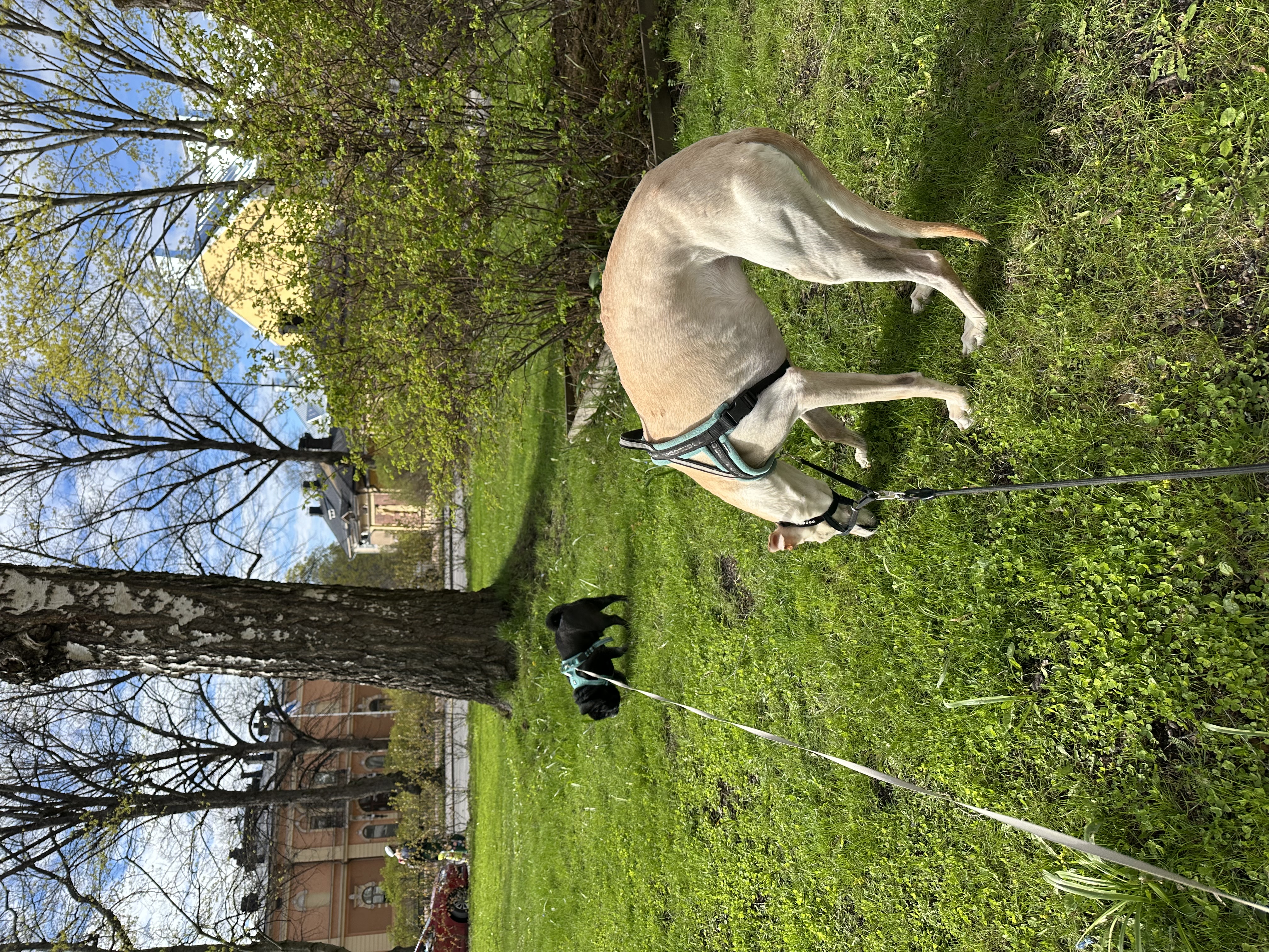 image-15