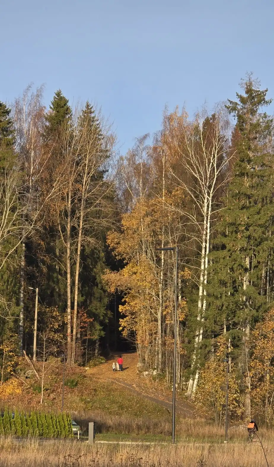 image-13