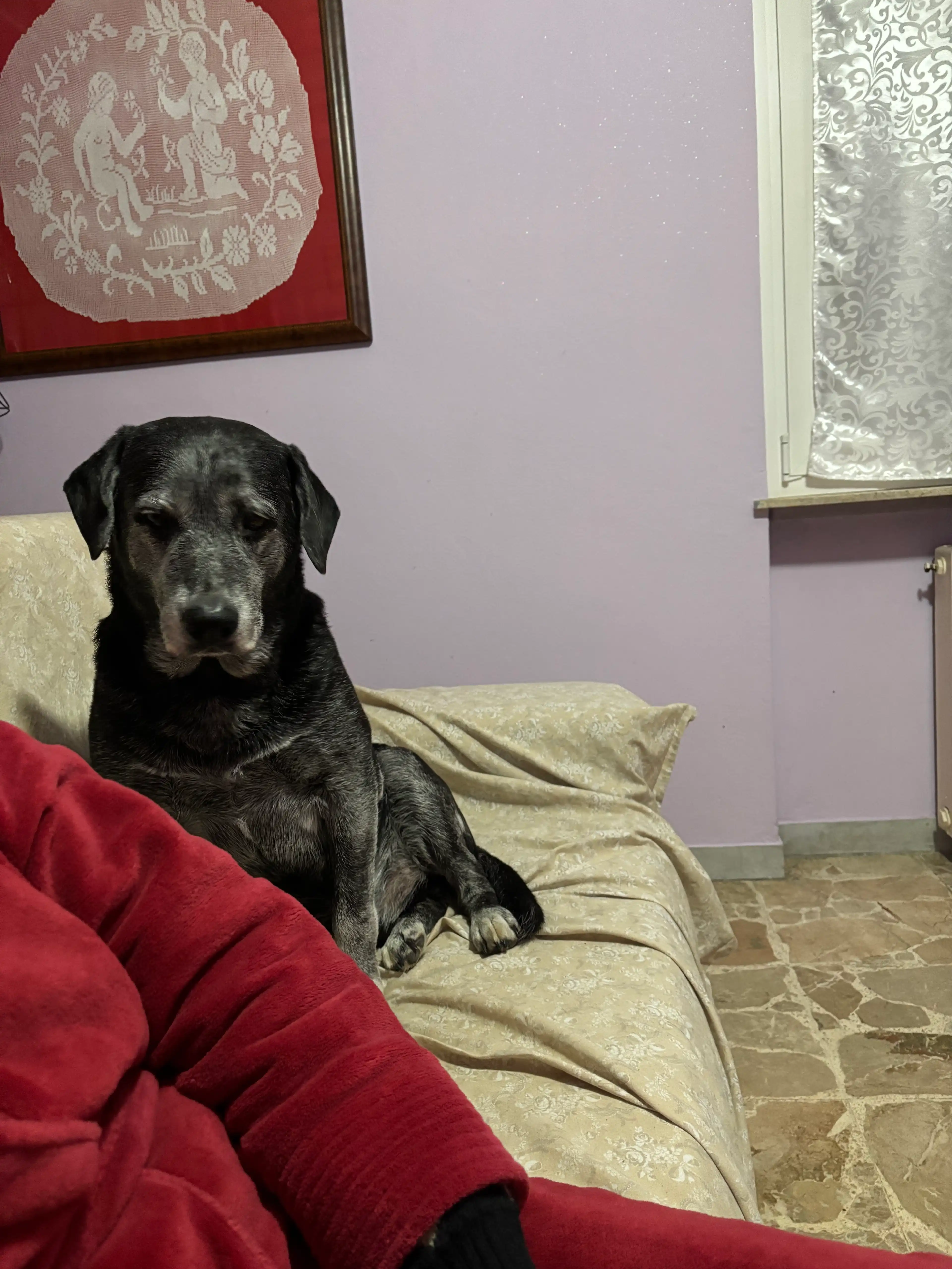 image-10