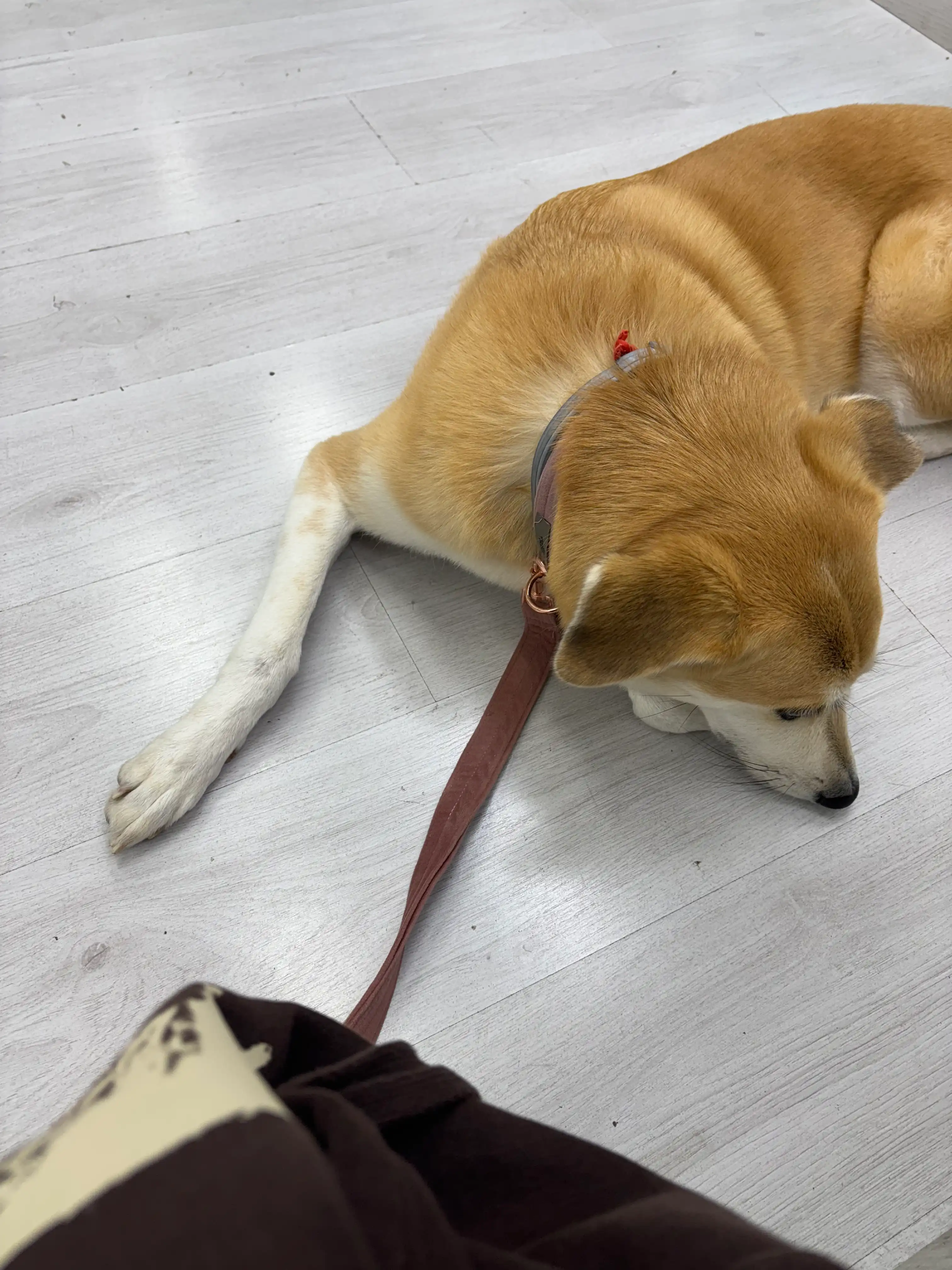 image-6