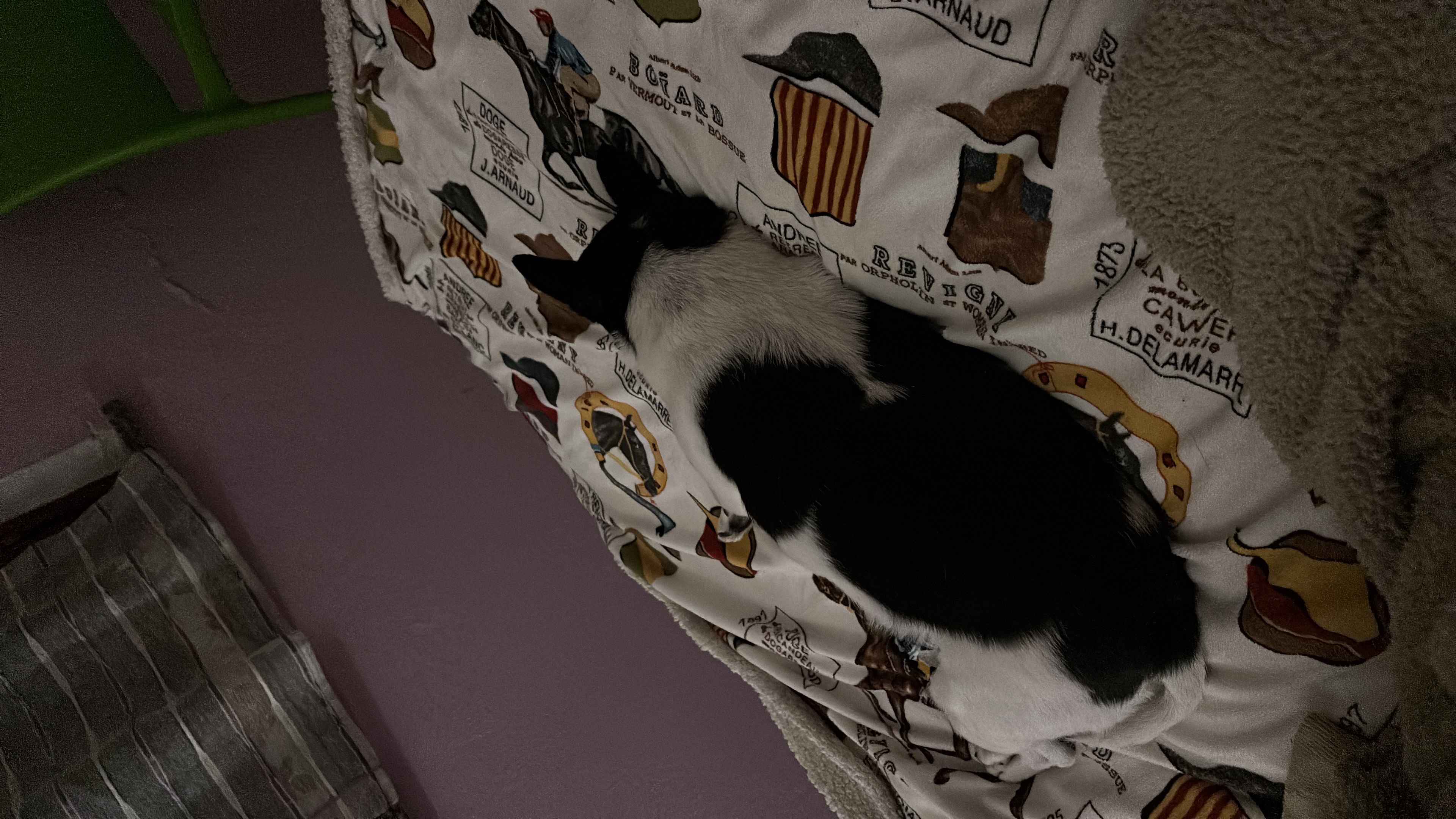 image-11