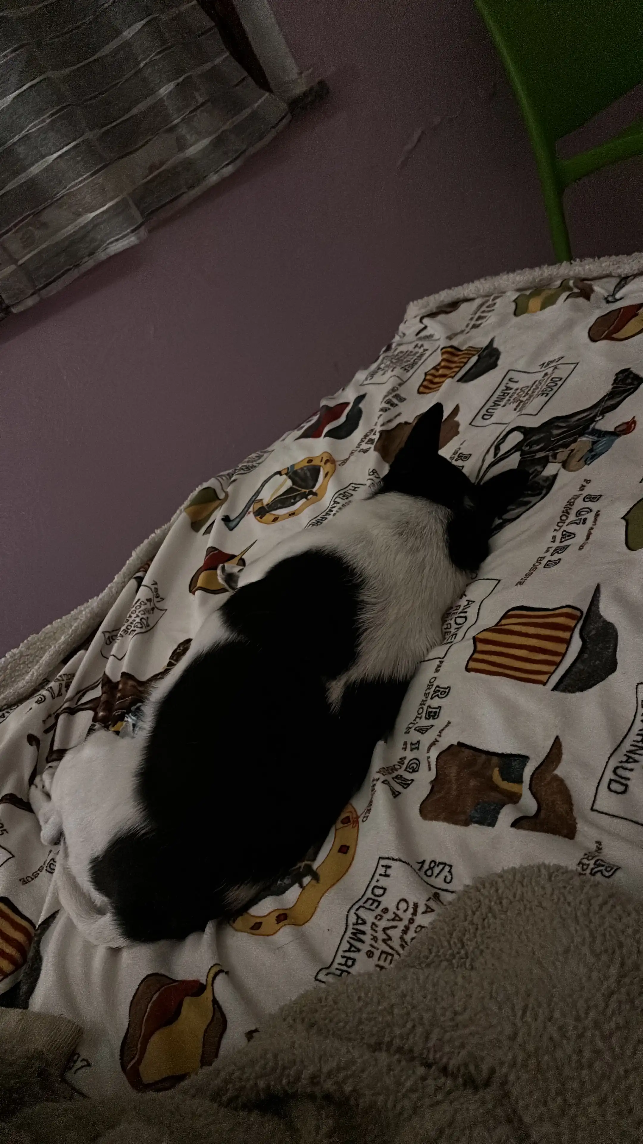 image-11