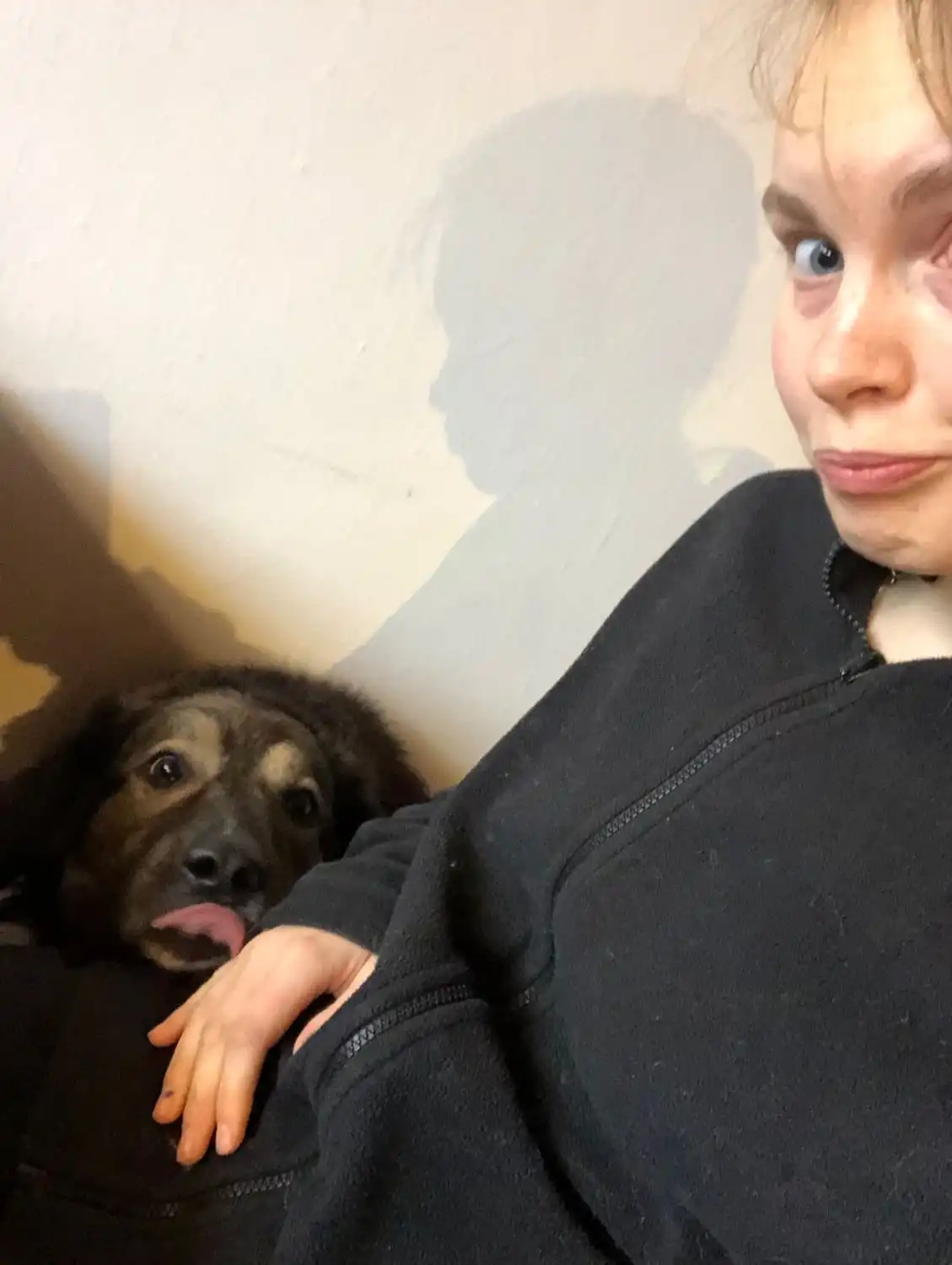 image-7