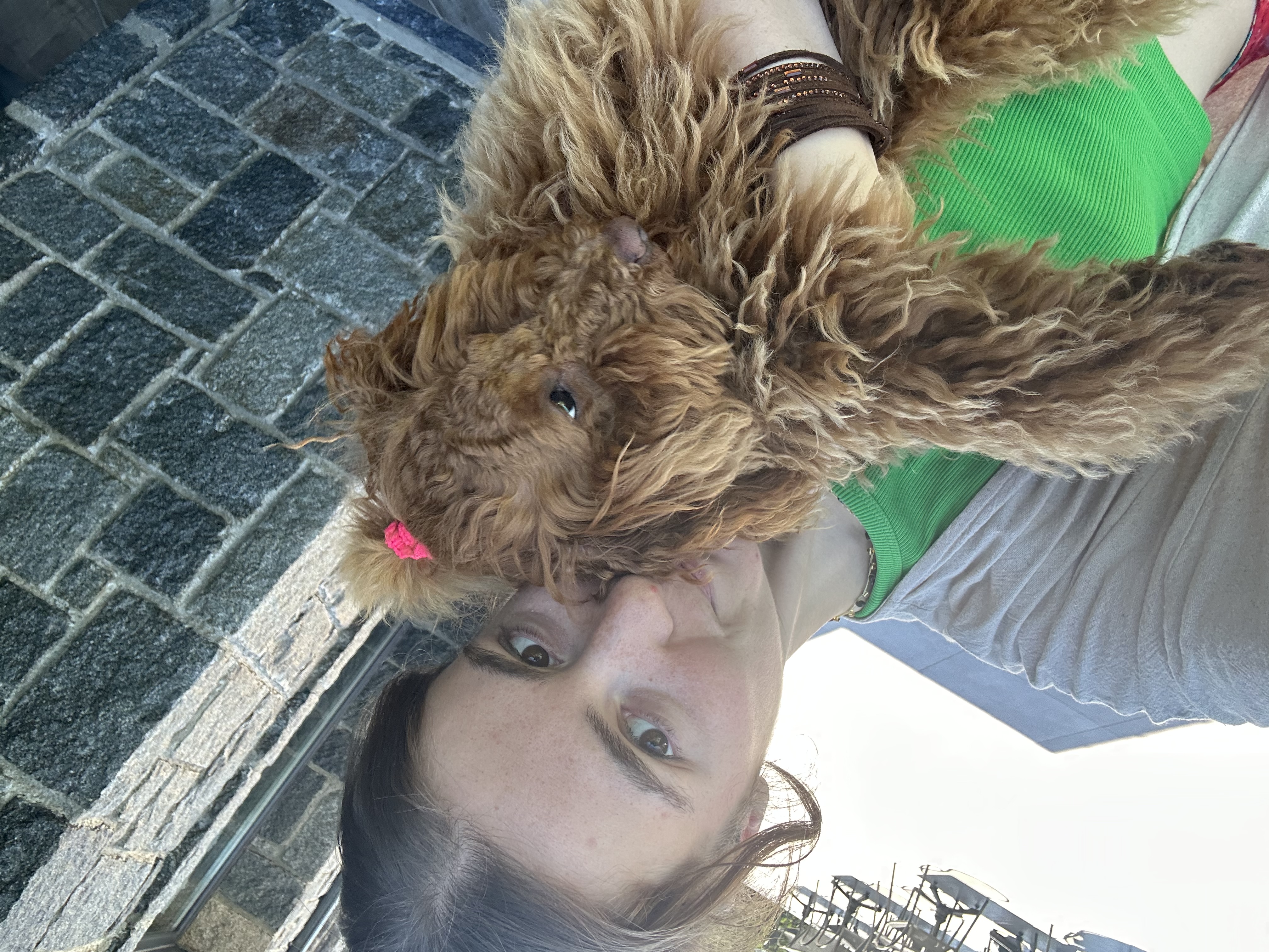 image-4