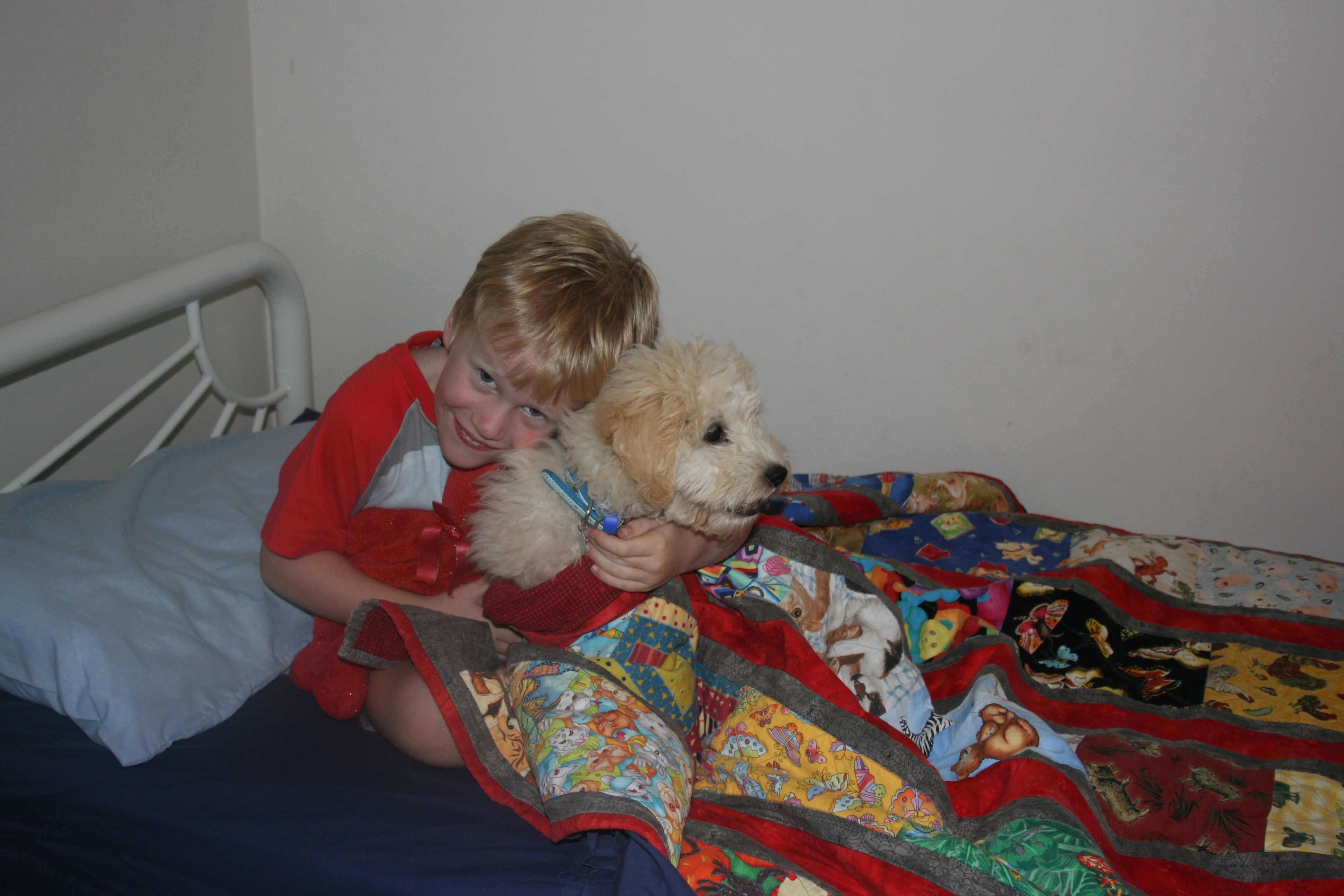 image-9