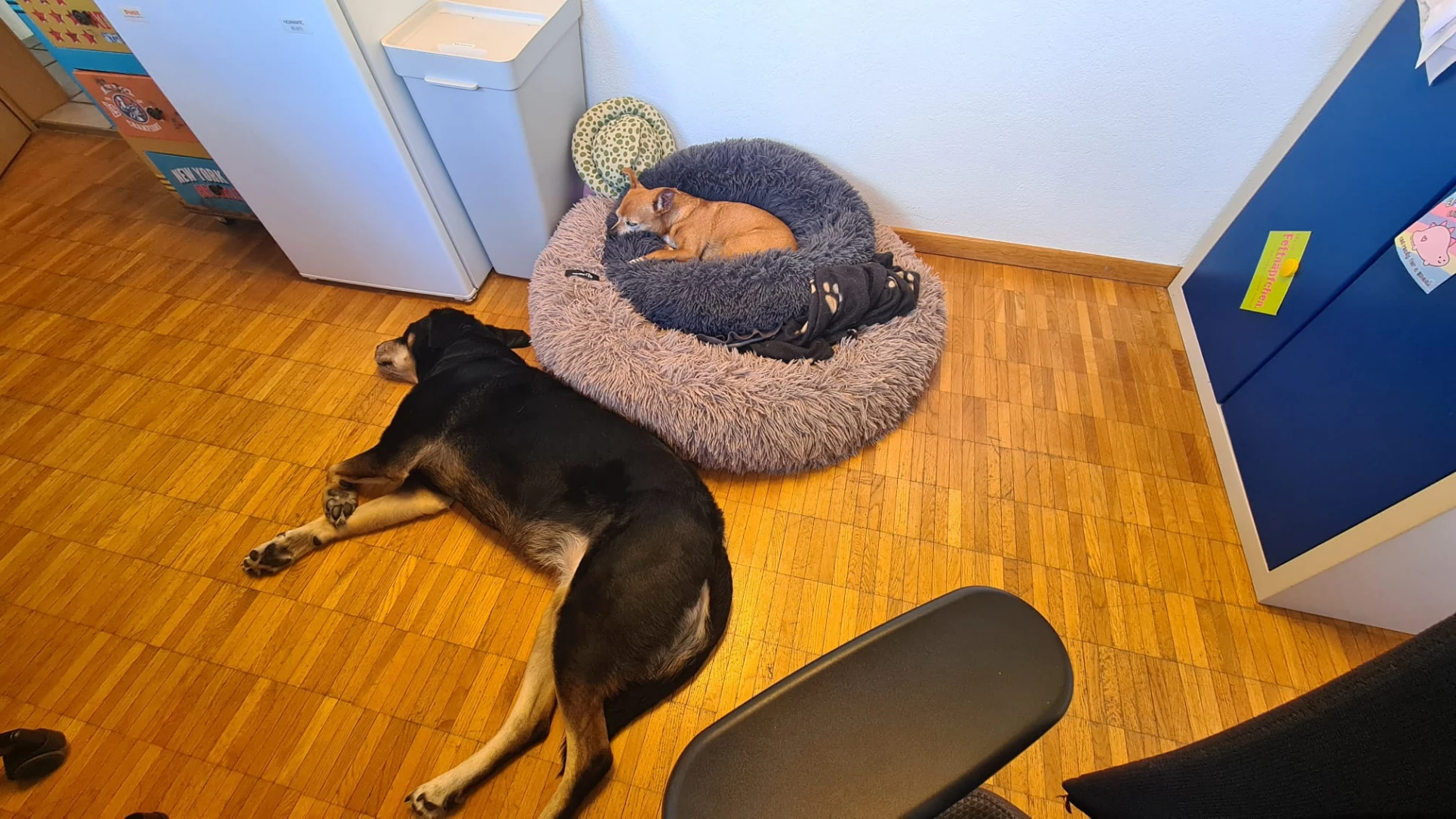 image-5