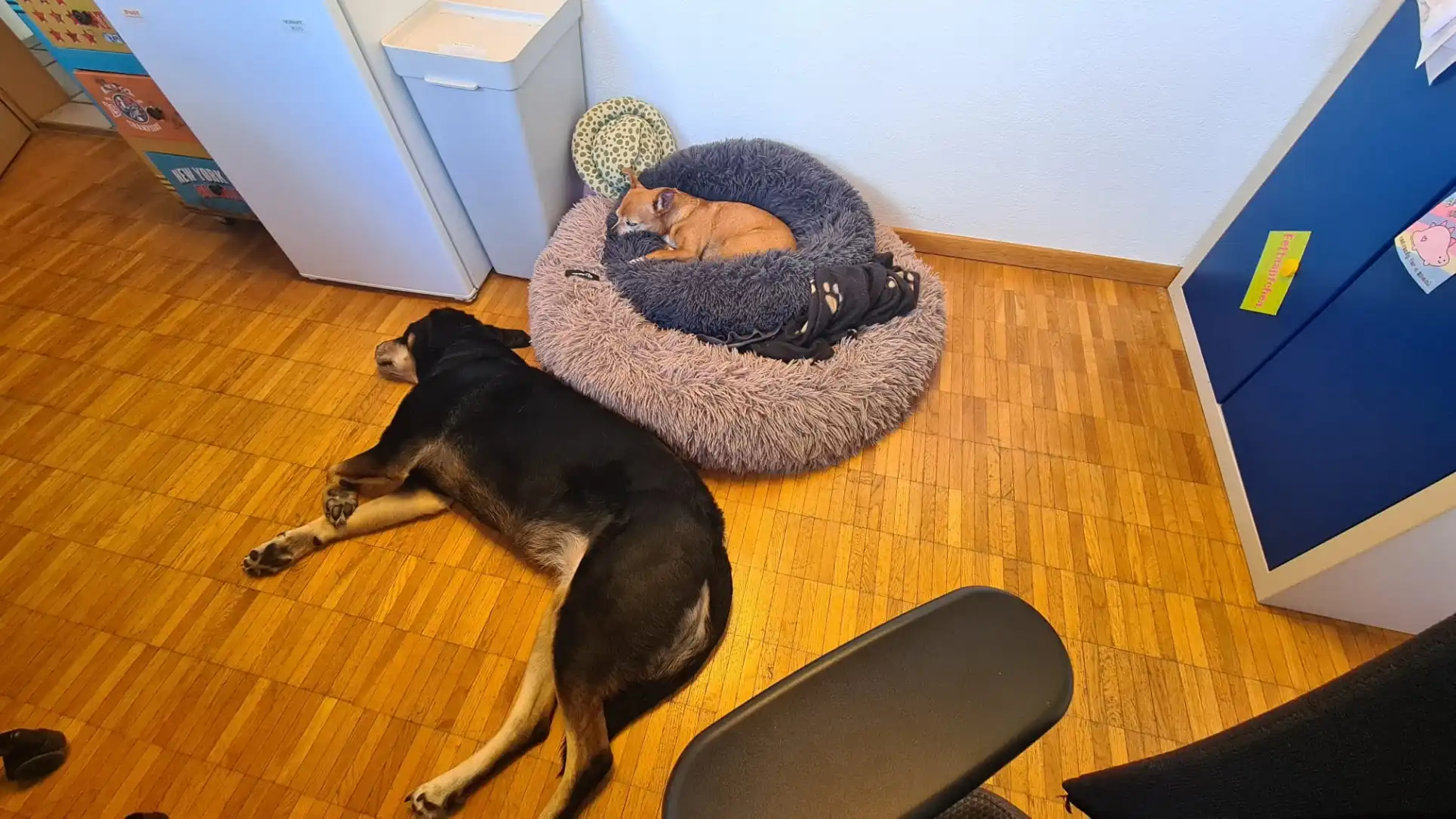 image-5