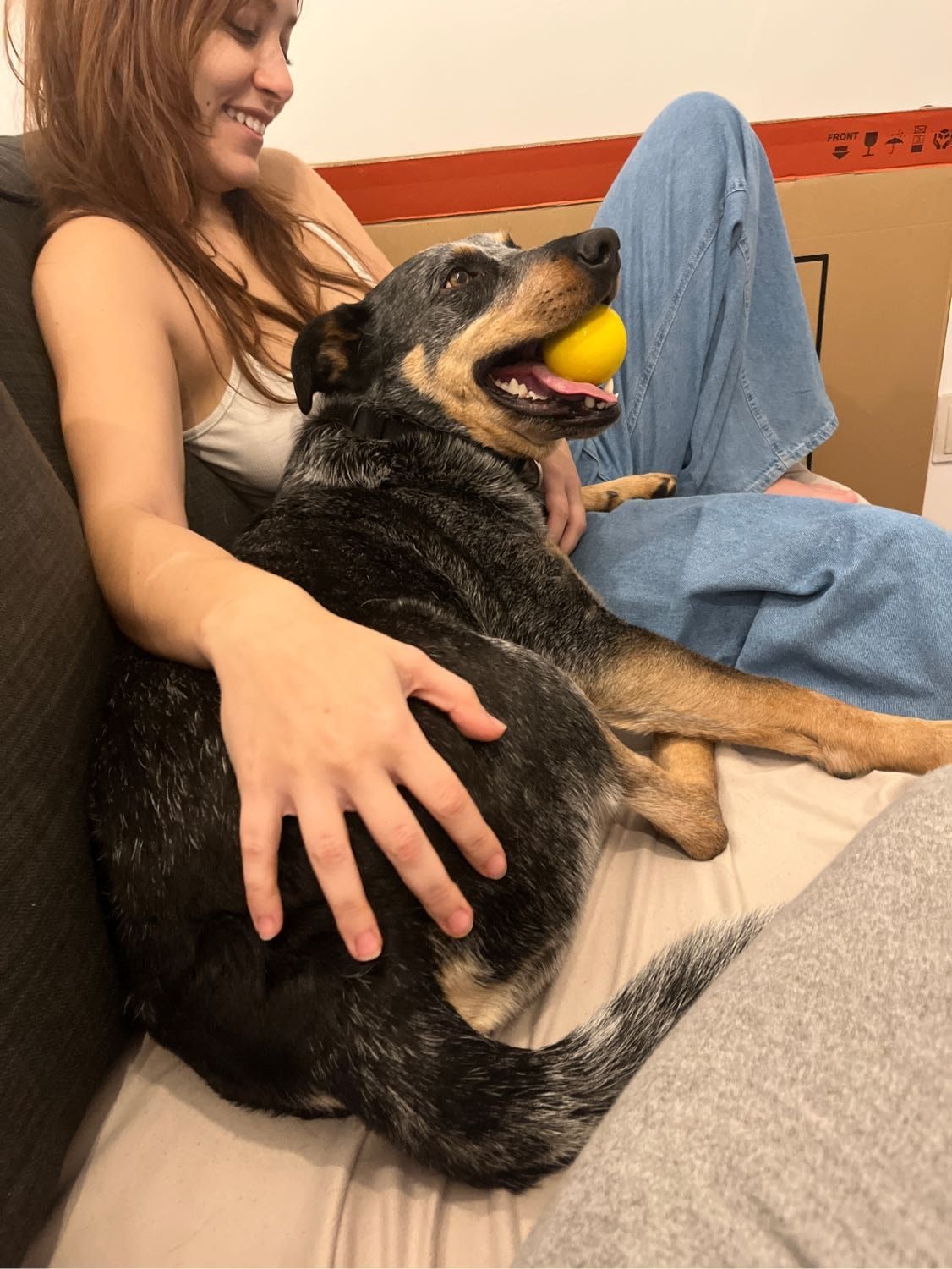 image-6