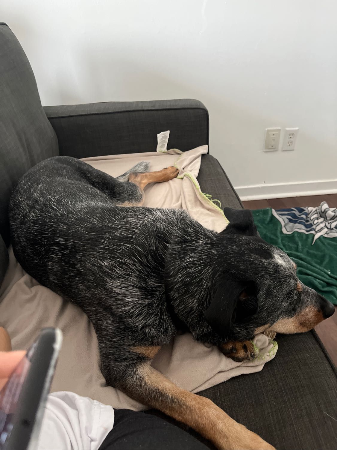 image-10