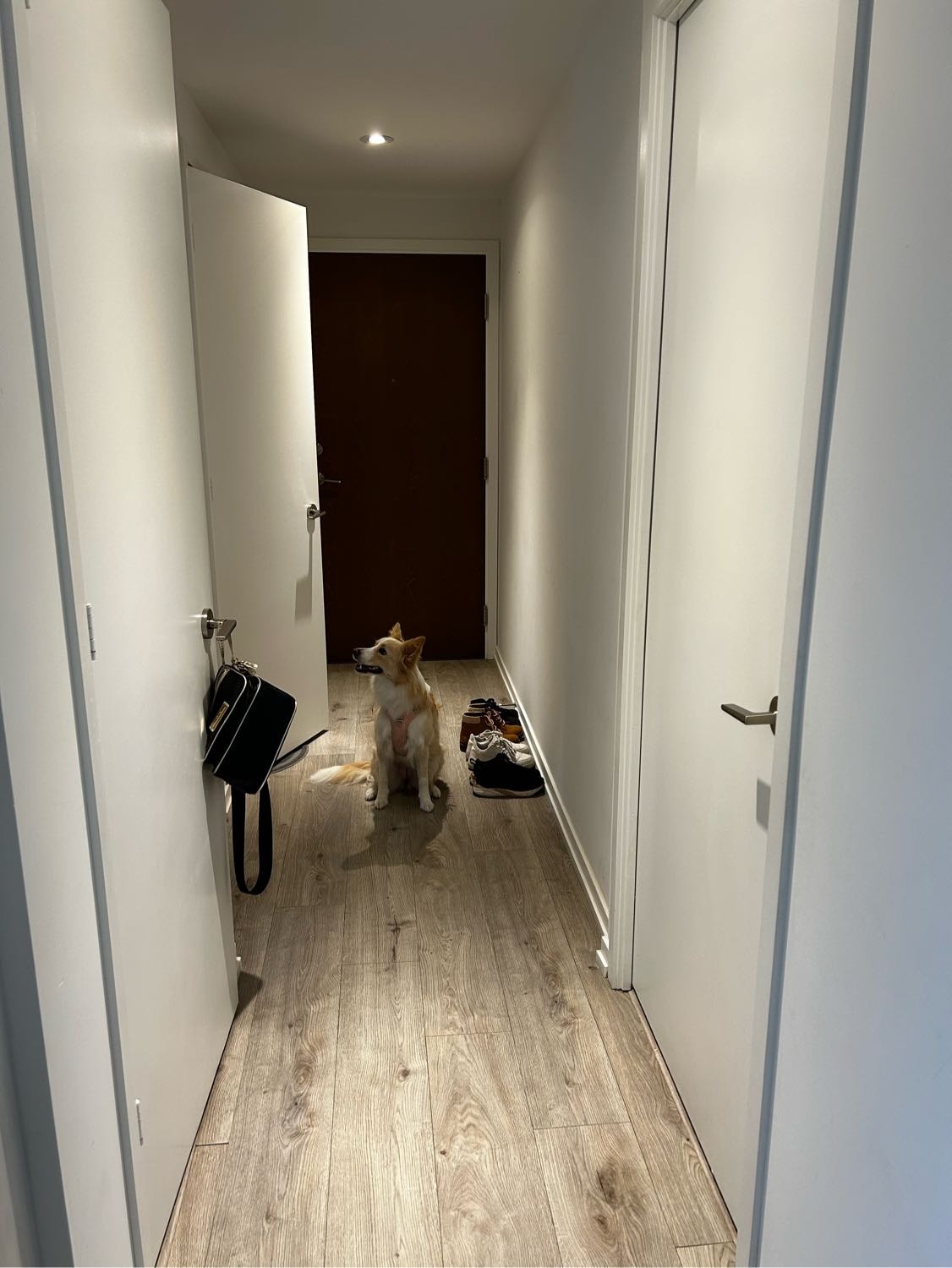 image-13