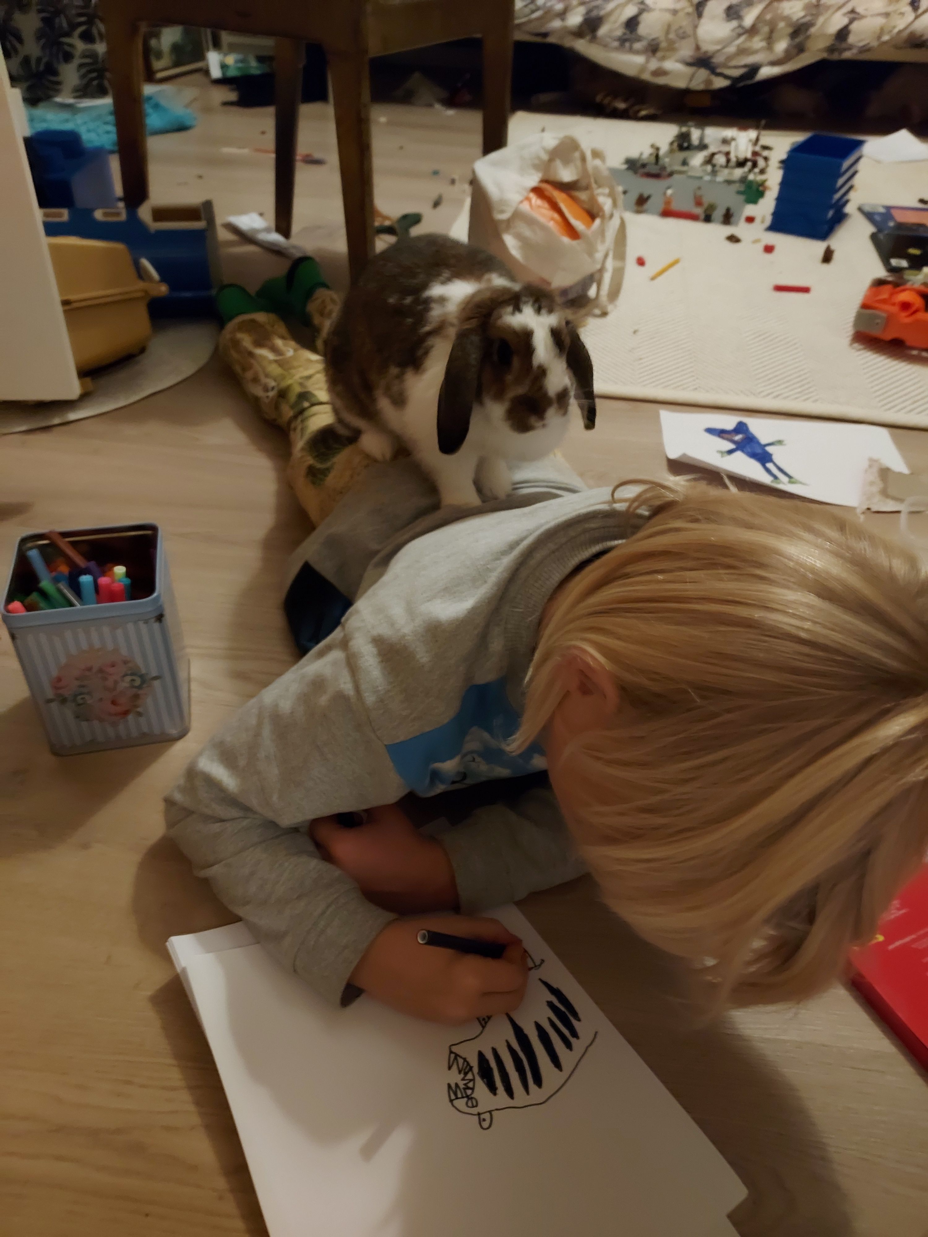 image-11