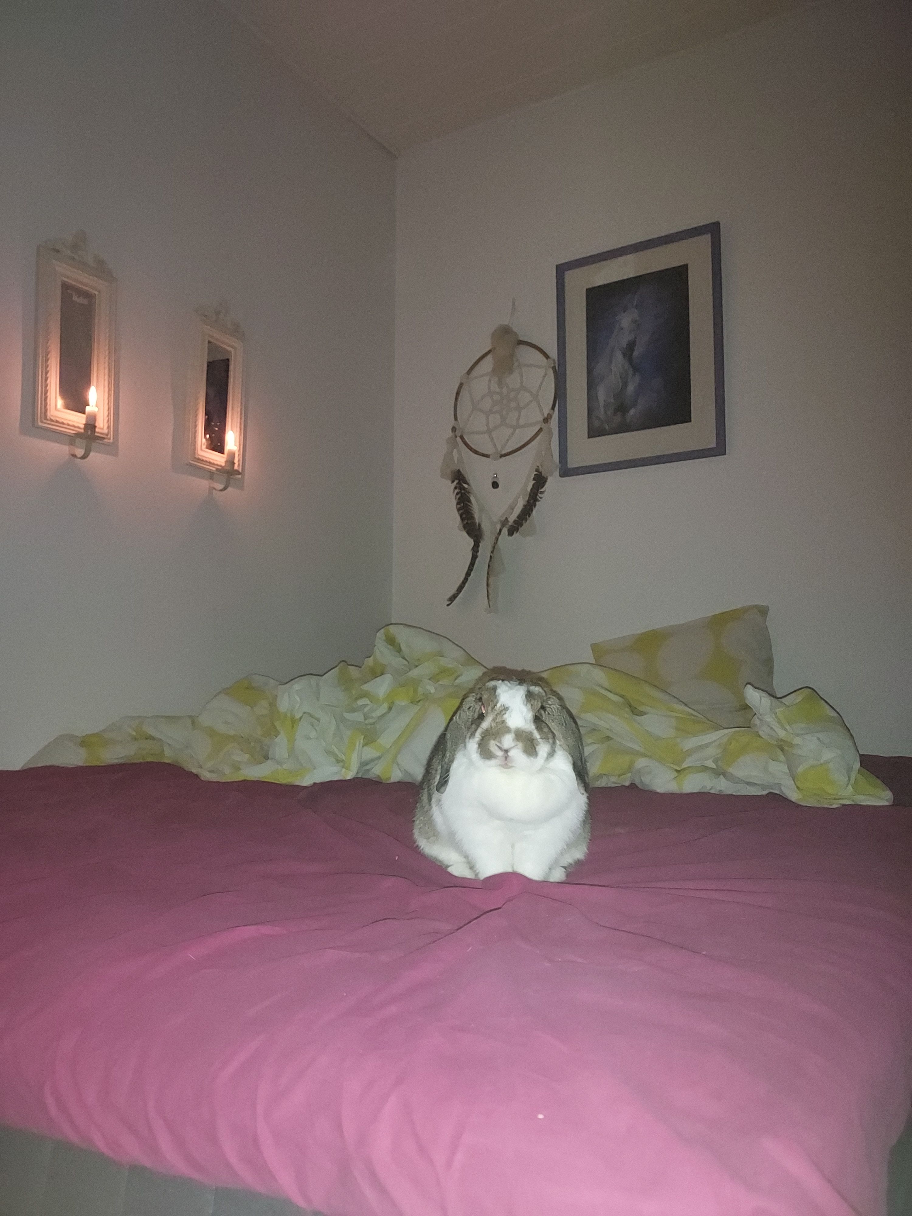 image-8