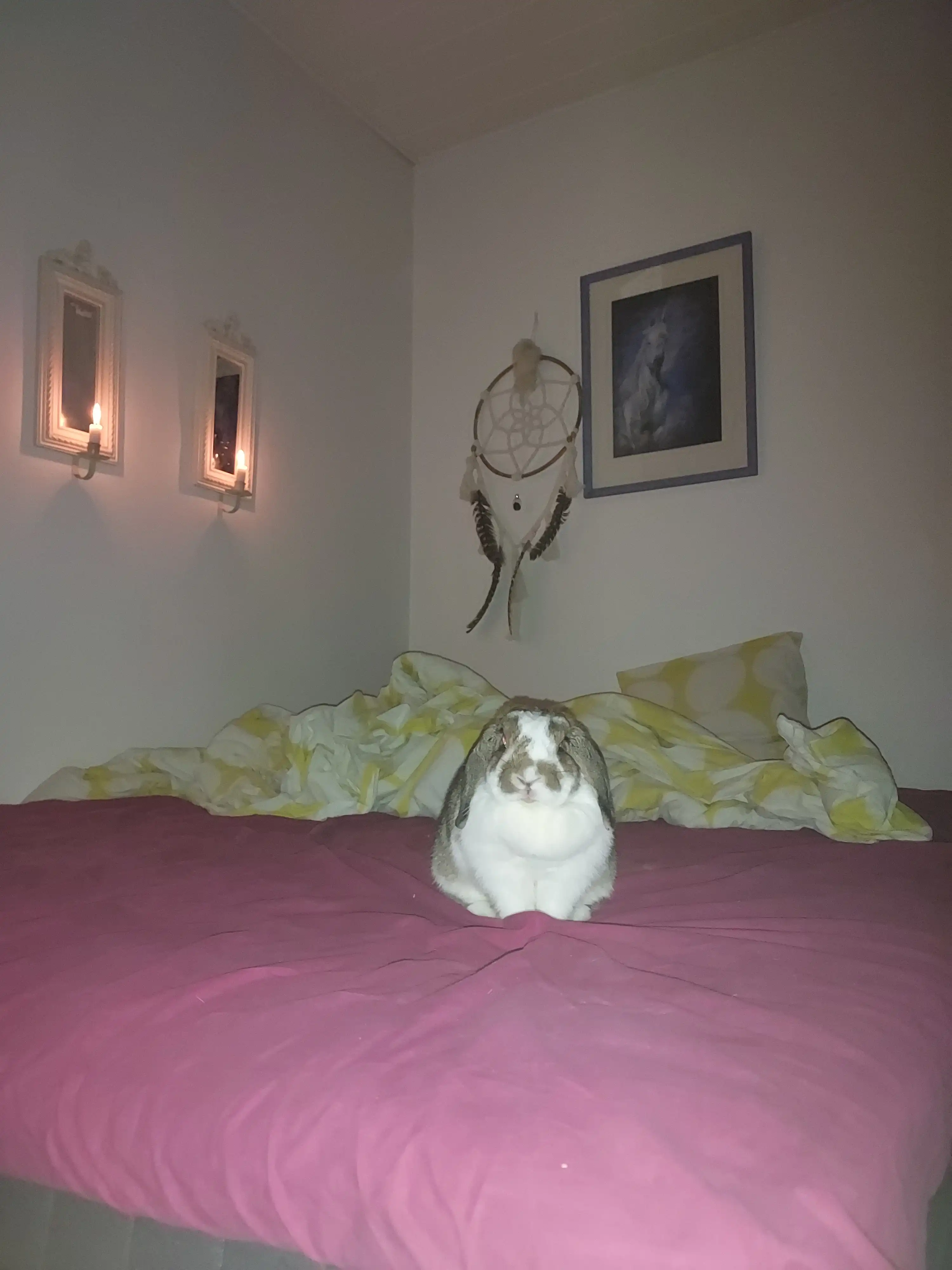 image-8