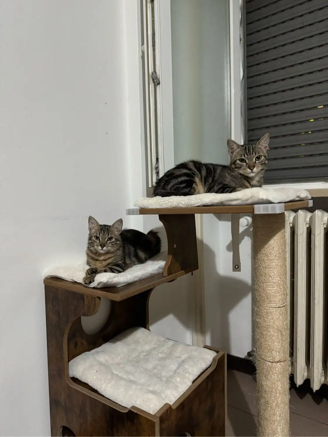 image-6