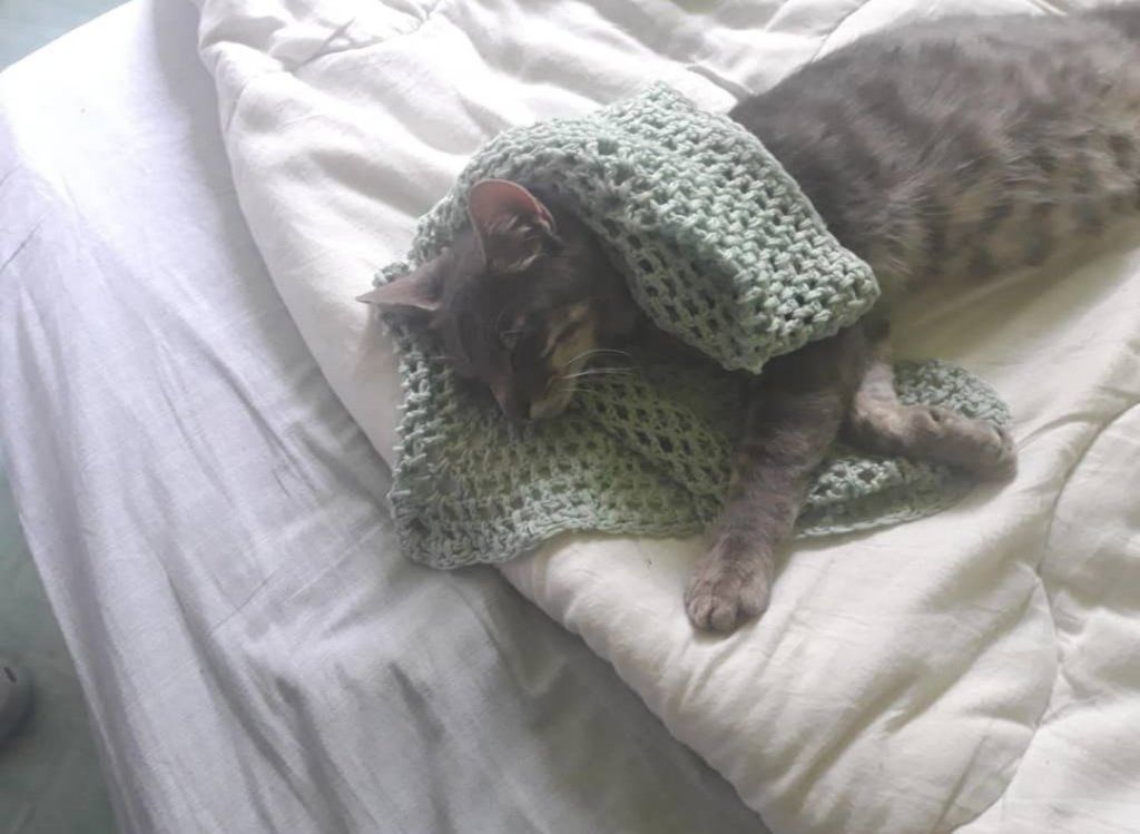 image-8