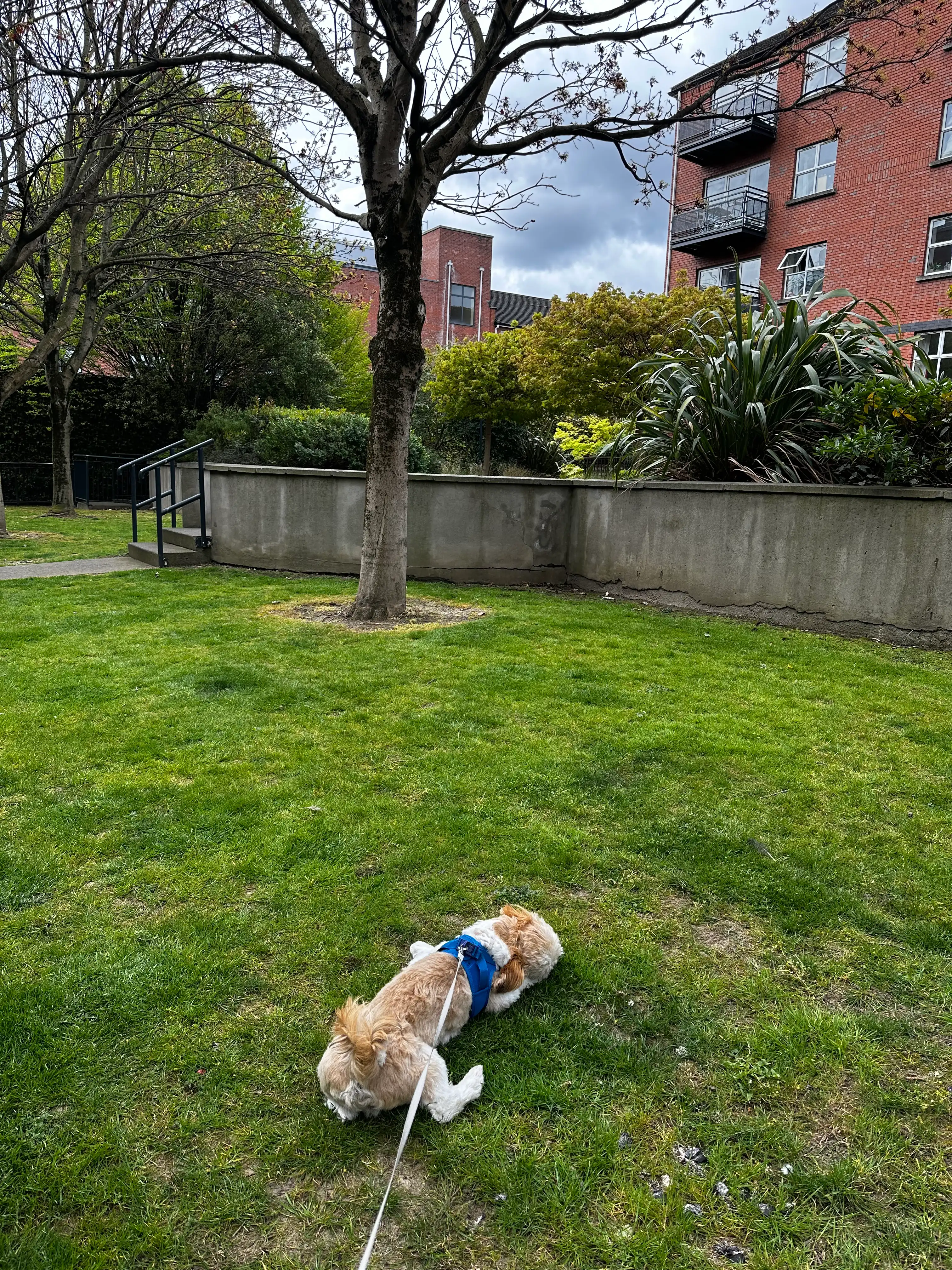 image-27