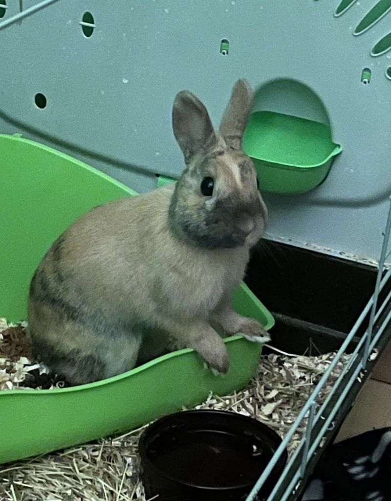 image-9
